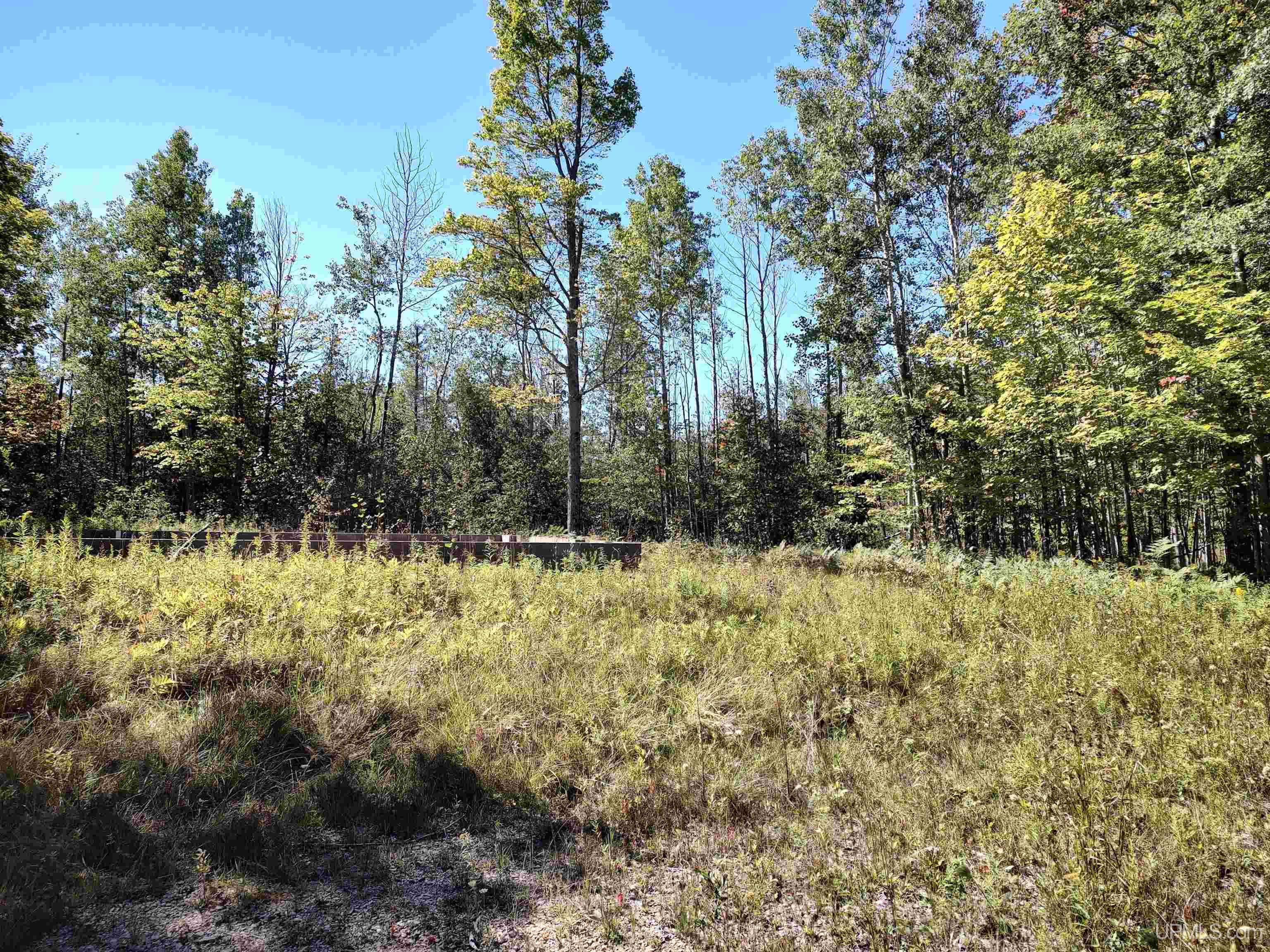 2420 W Us2 Highway Property Photo 1