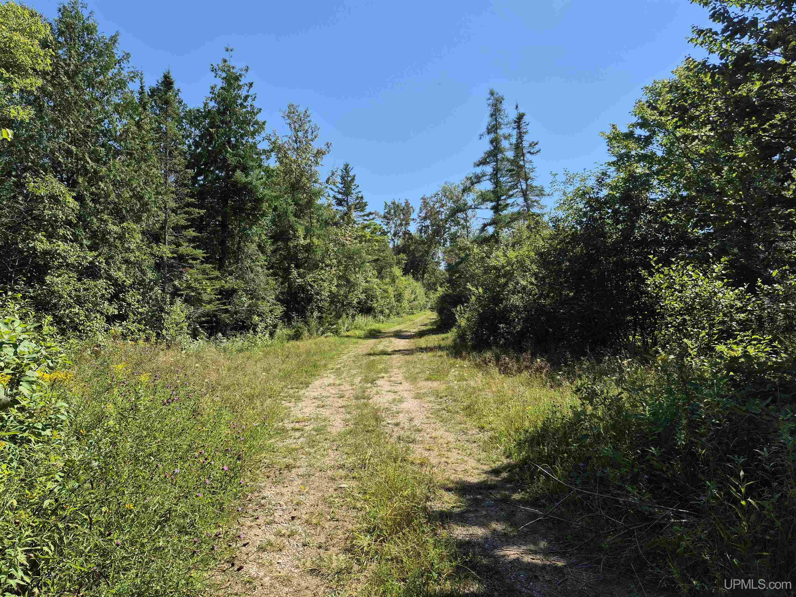 160 Acres Halverson Road Property Photo 1