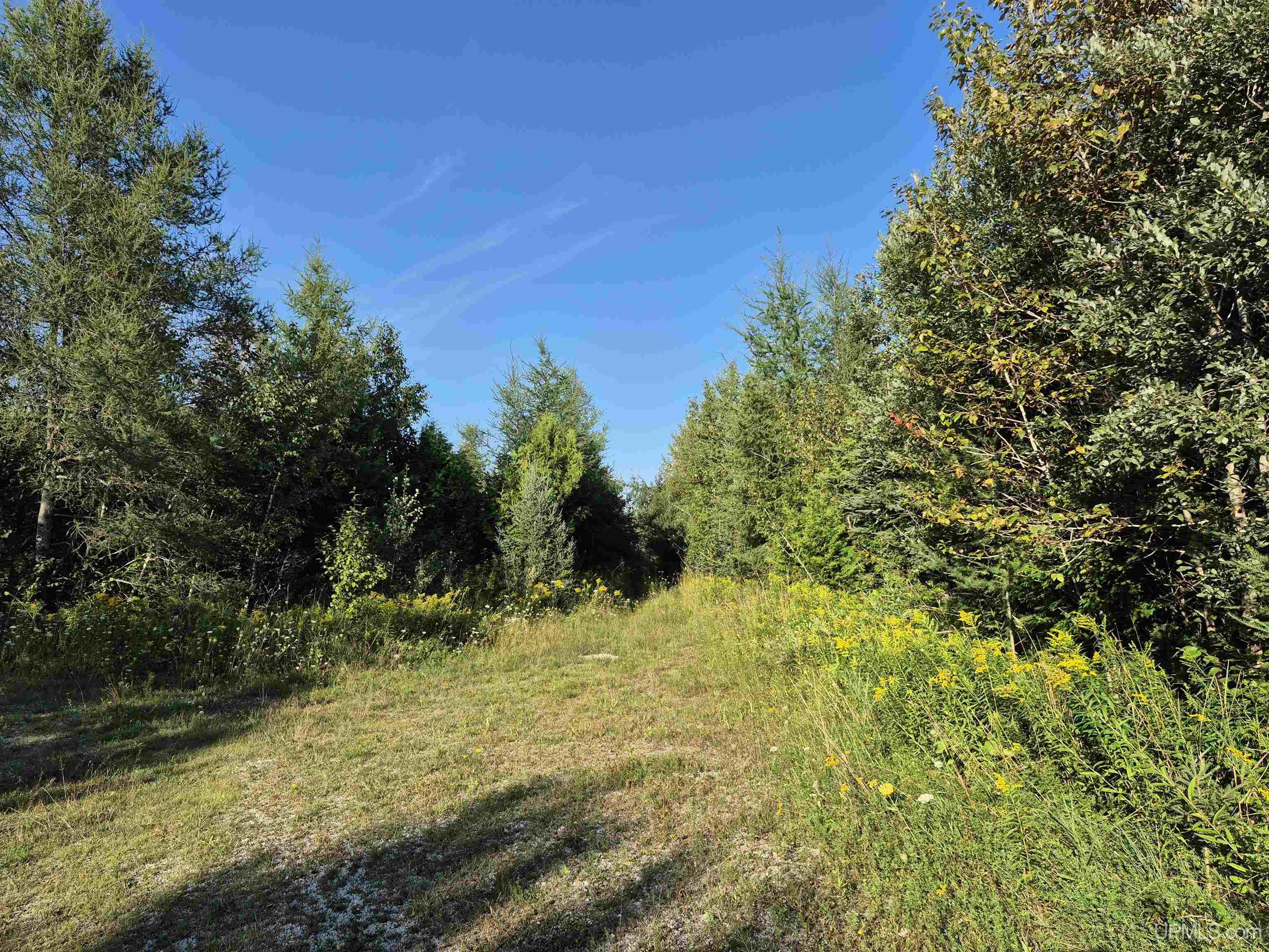252 Acres River Road Property Photo 1