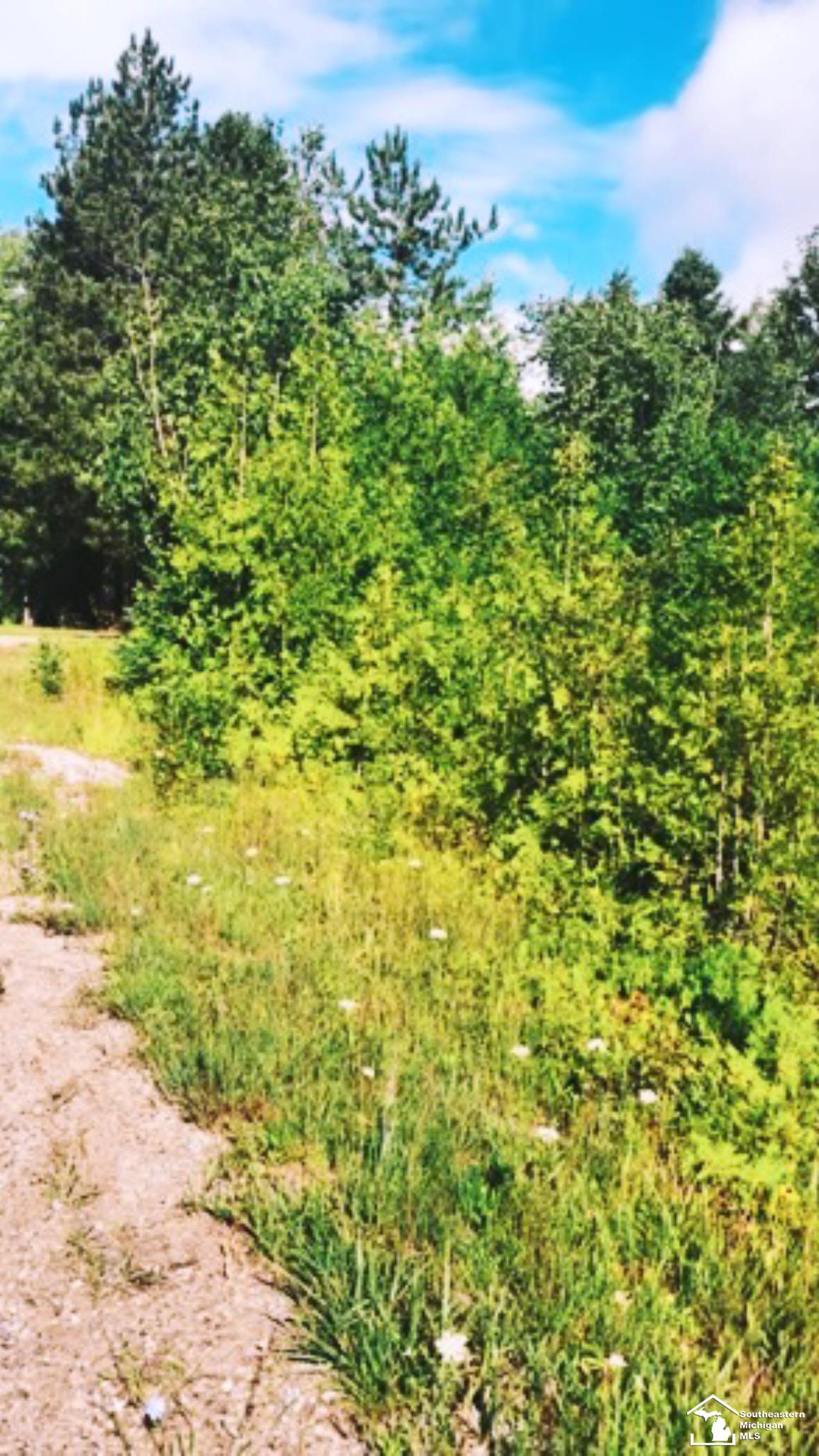 0000 Grace Harbor Road Property Photo 1