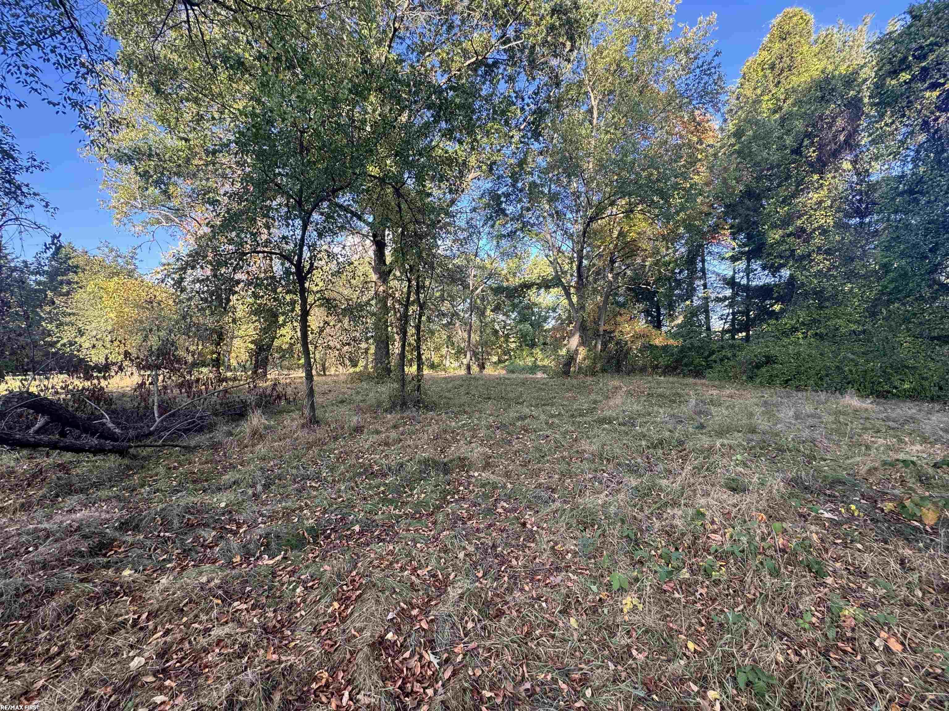 0000 Round Lake Lane Property Photo 7