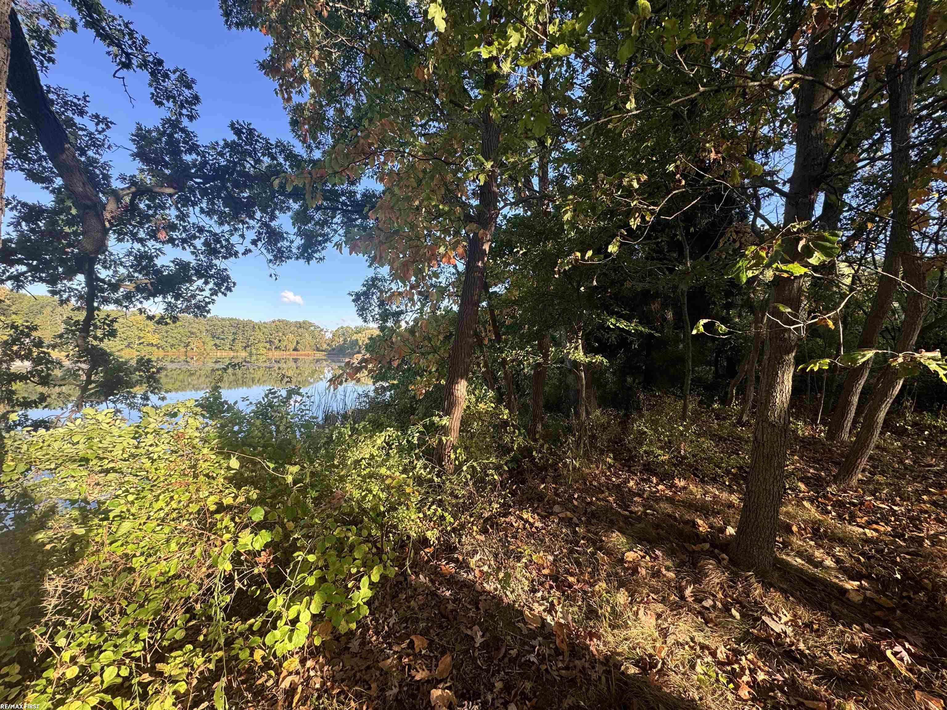 0000 Round Lake Lane Property Photo 9