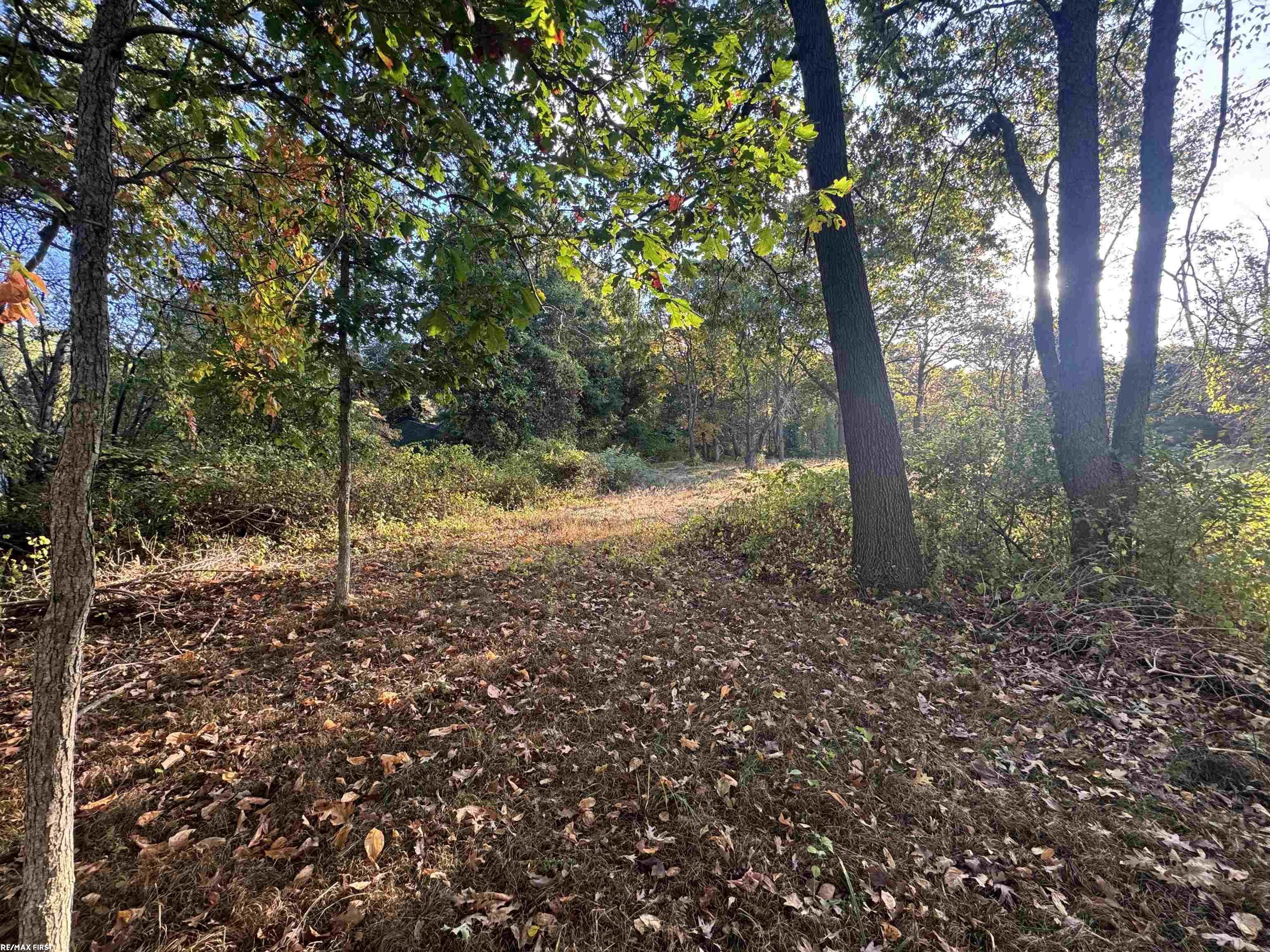0000 Round Lake Lane Property Photo 10