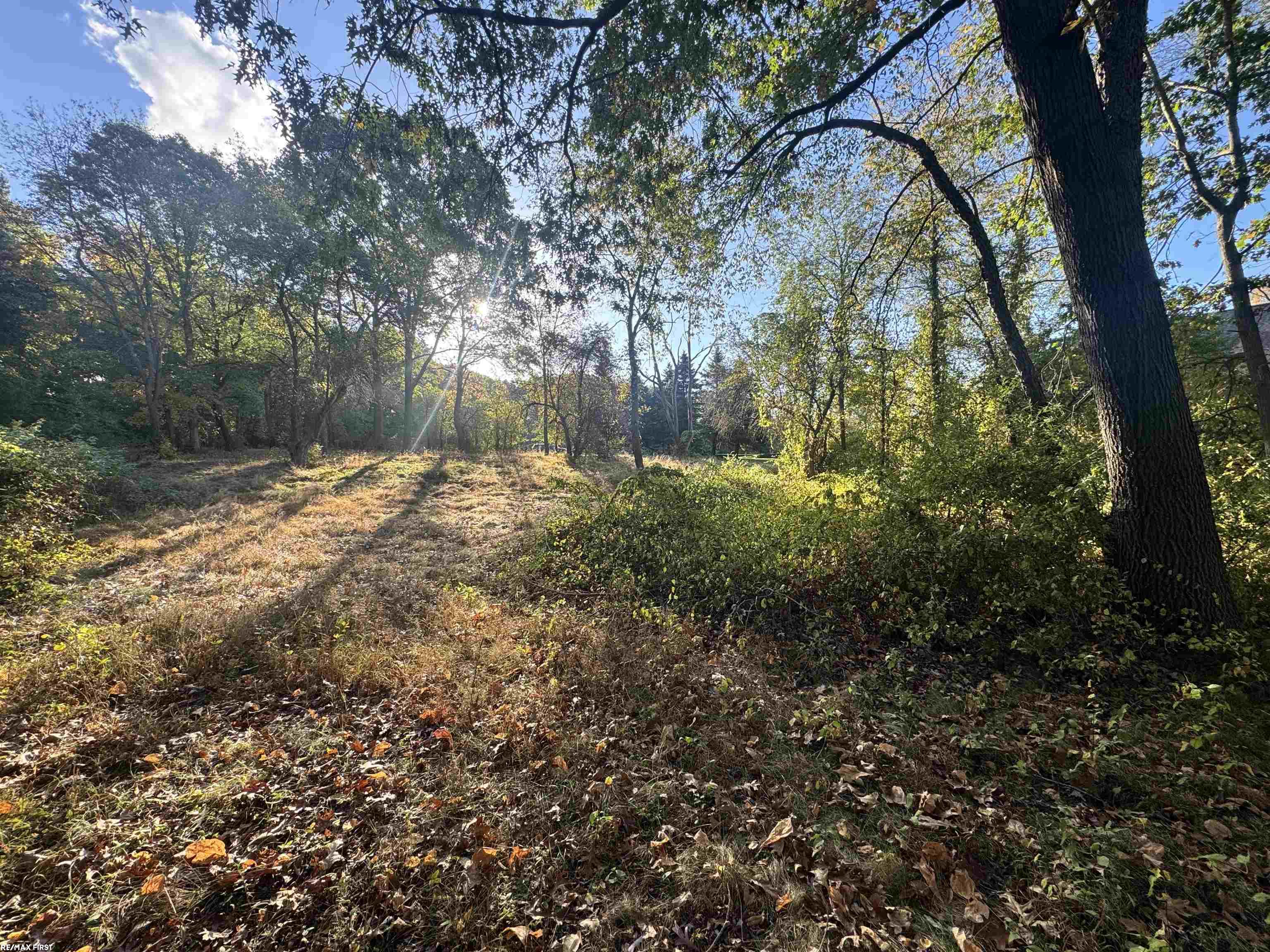 0000 Round Lake Lane Property Photo 11