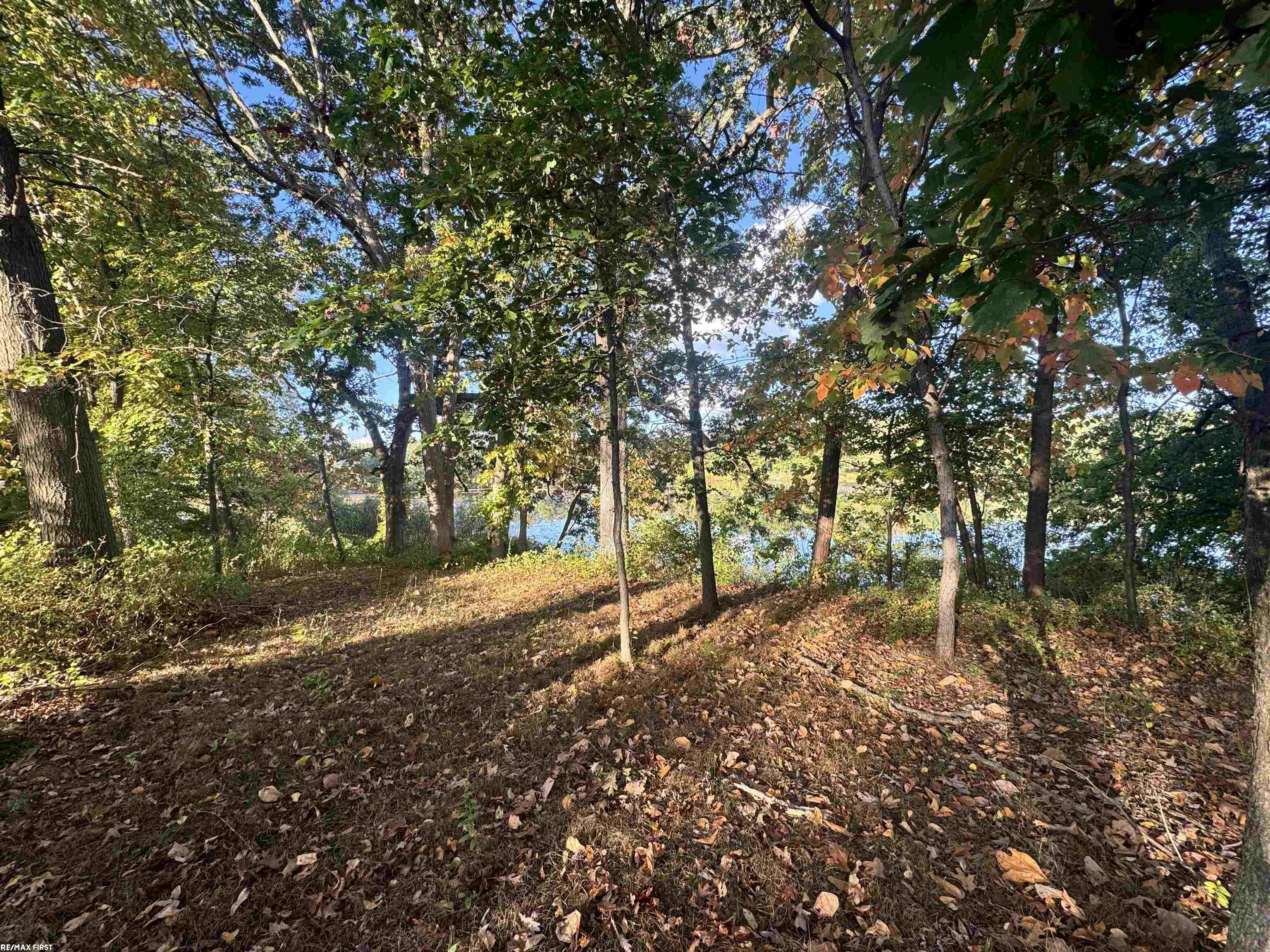 0000 Round Lake Lane Property Photo 12