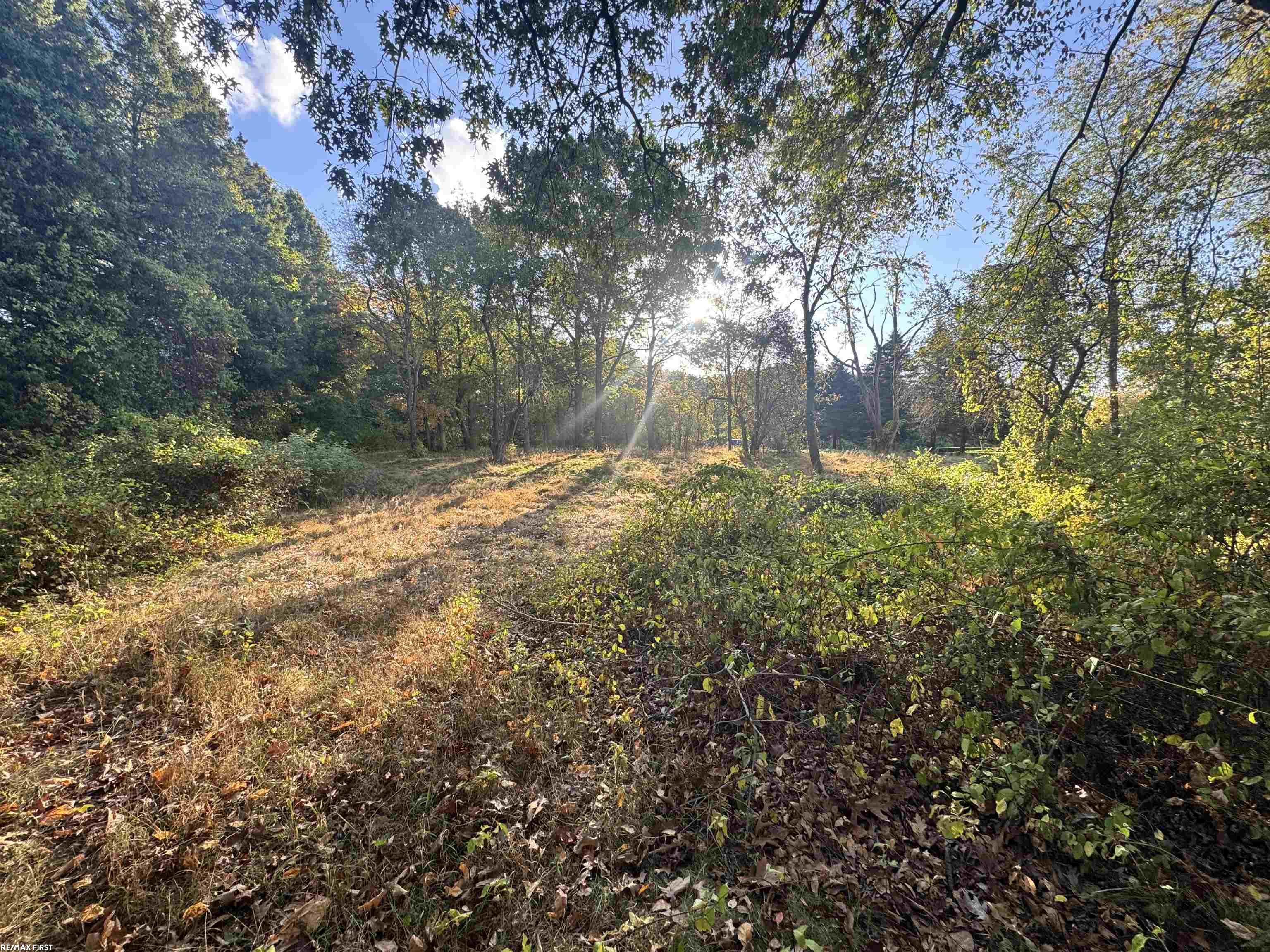 0000 Round Lake Lane Property Photo 13