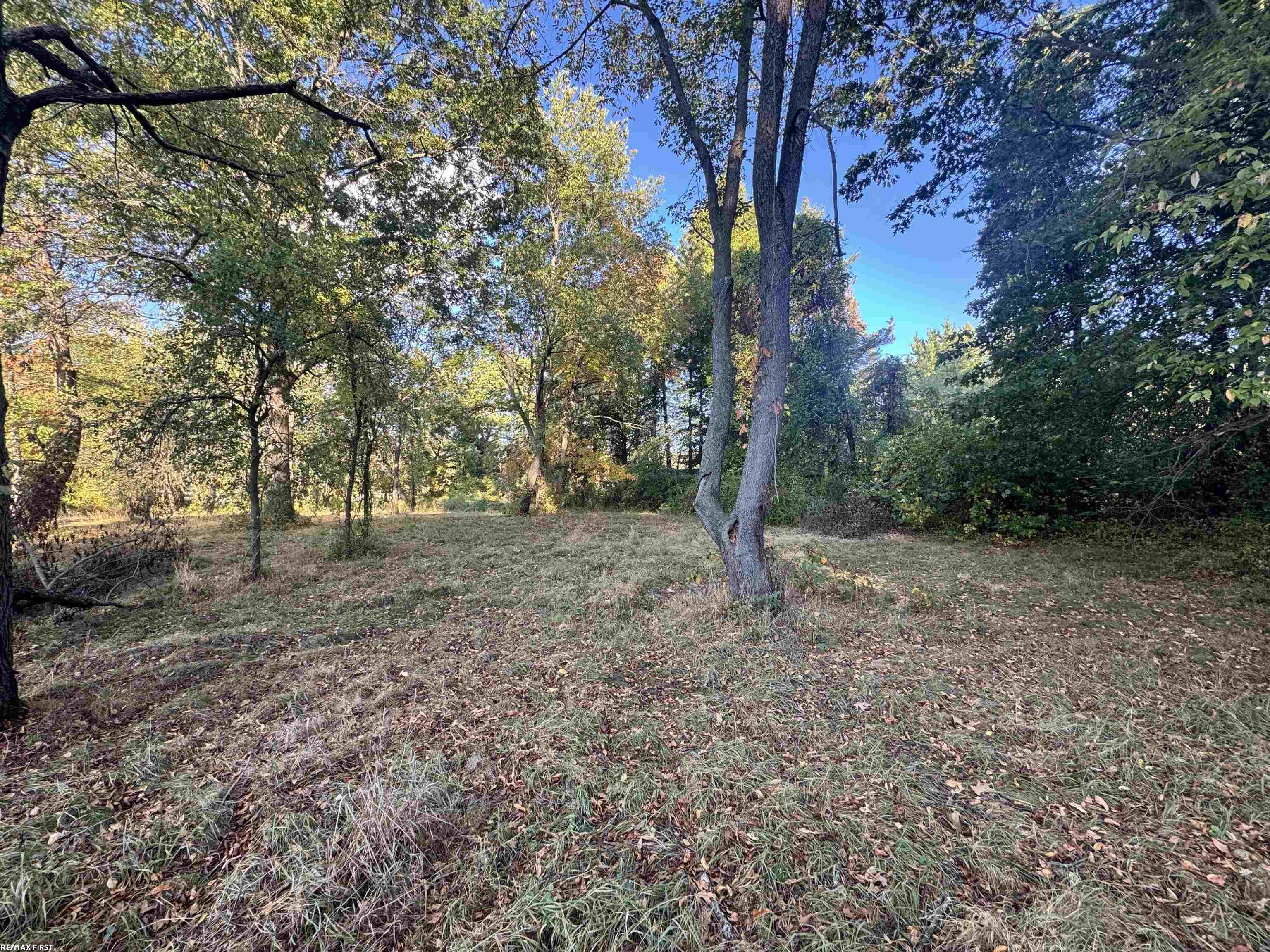 0000 Round Lake Lane Property Photo 15