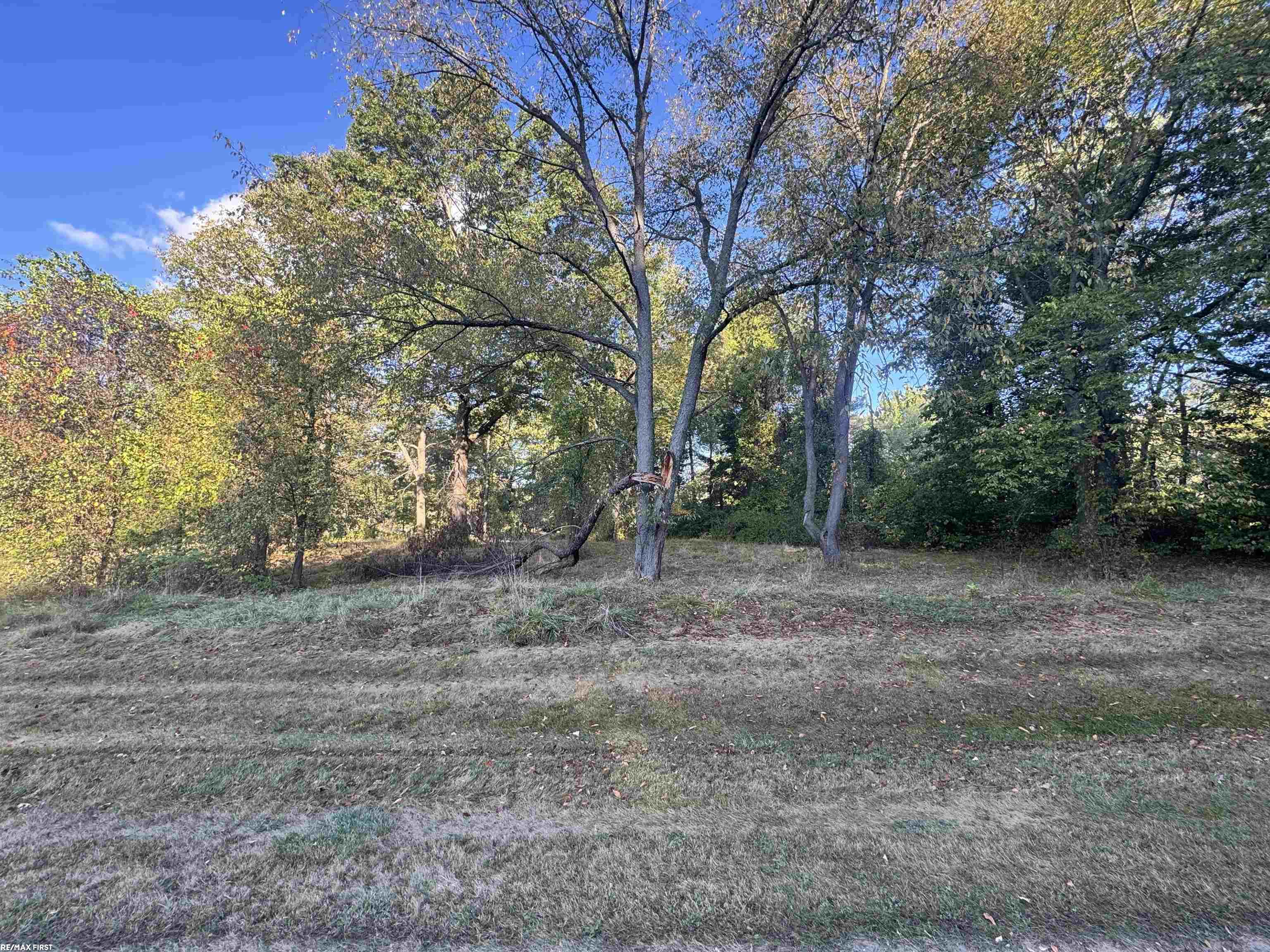 0000 Round Lake Lane Property Photo 16