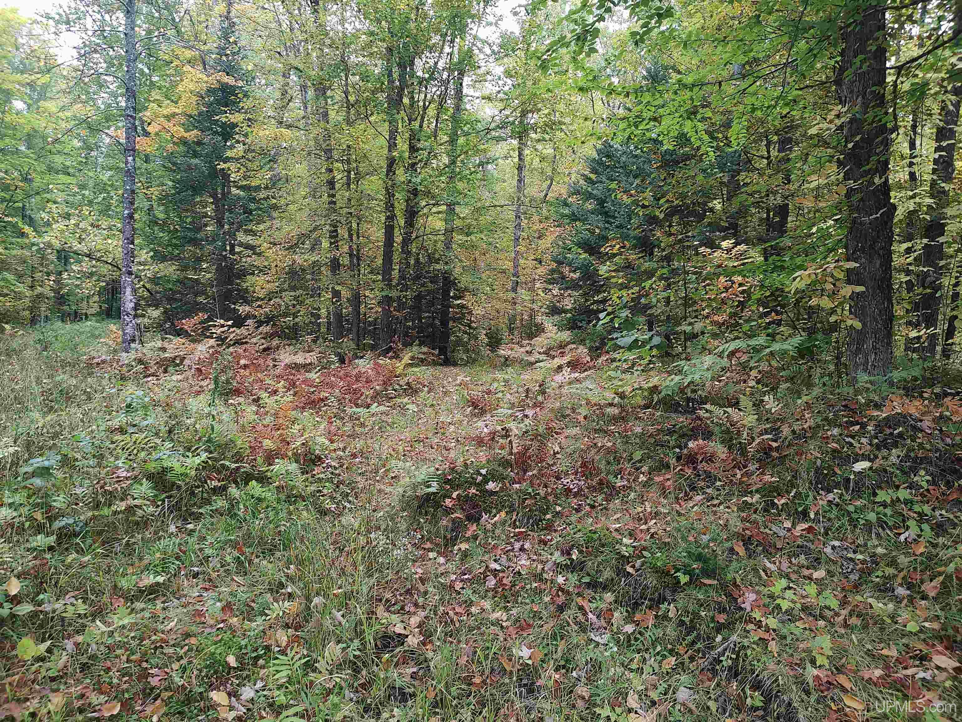 Tbd S Laird Road Property Photo 1