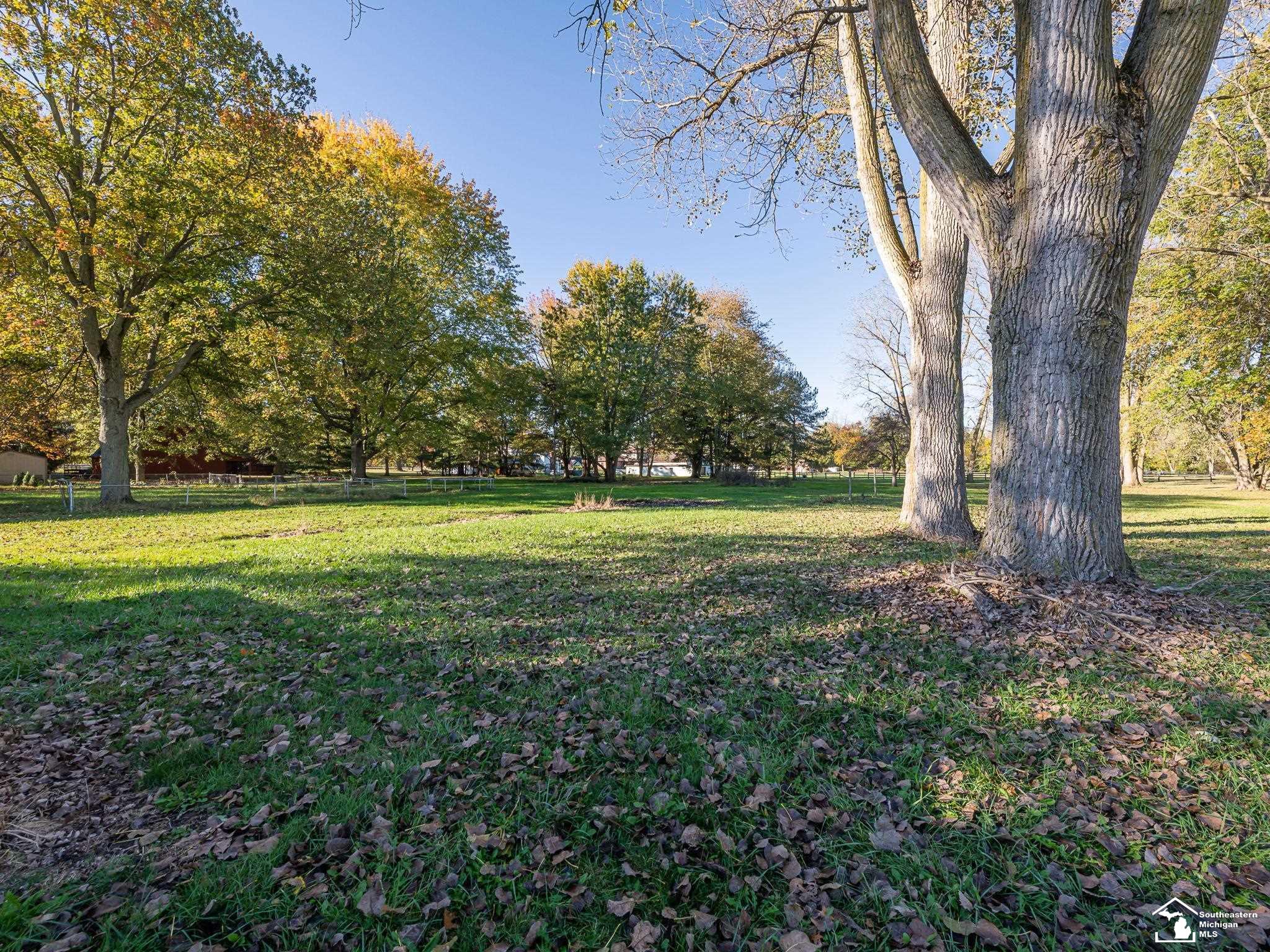 10711 Douglas Road Property Photo 41