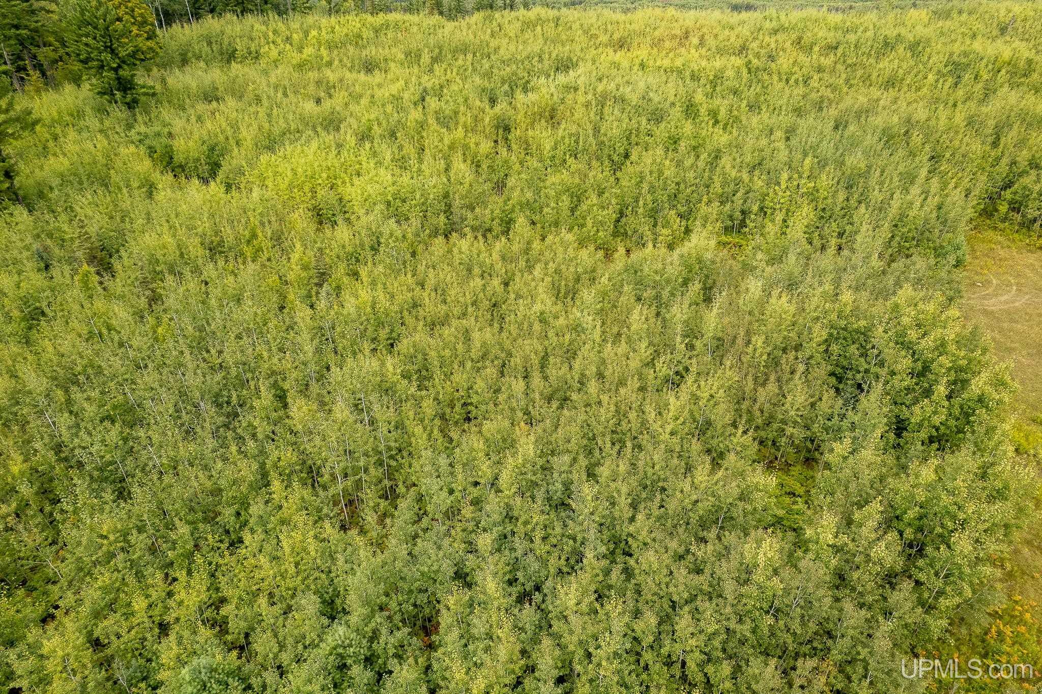 Tbd Murray 20 Road Property Photo 14