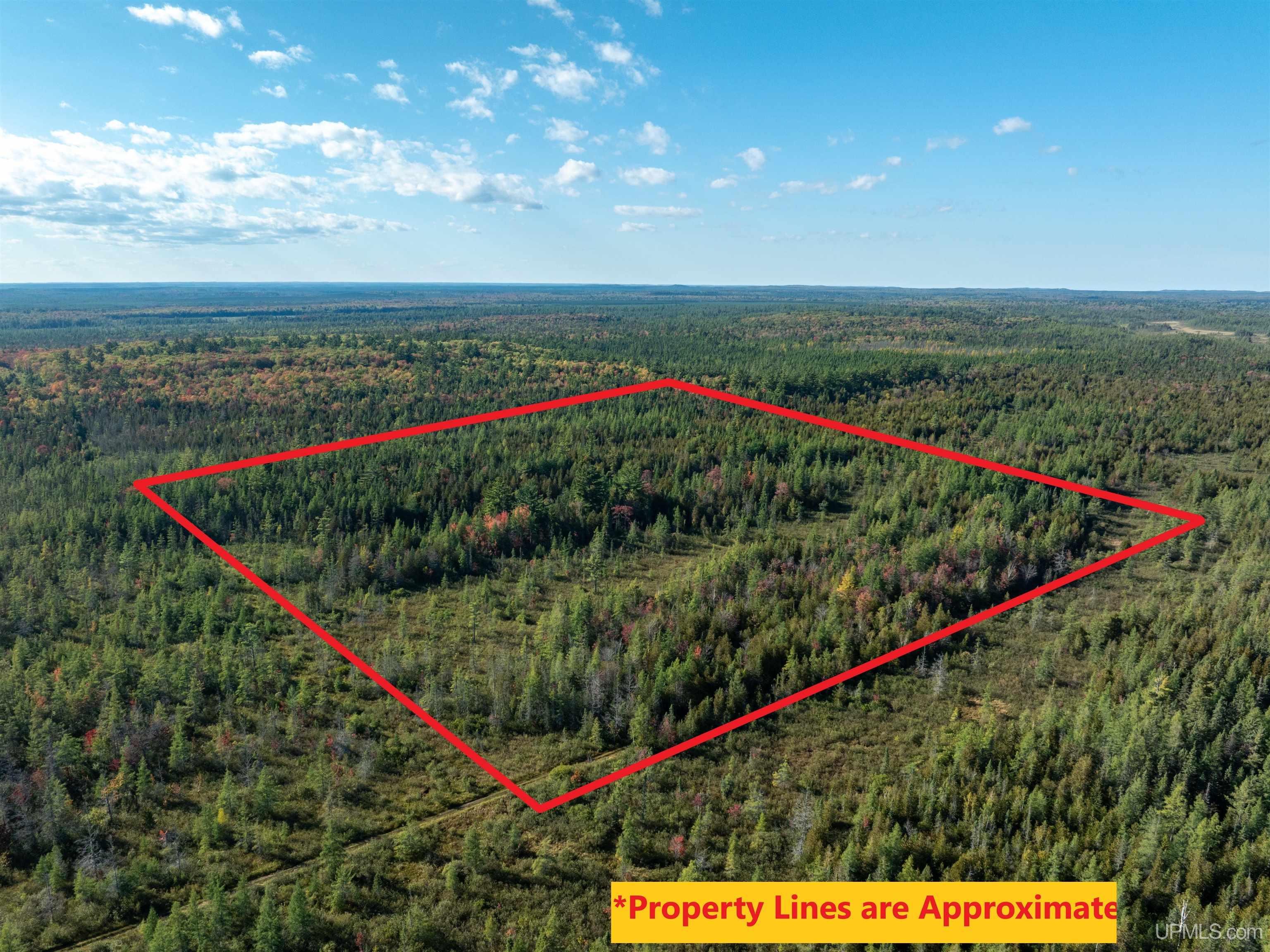 Tbd 40a Old Plank Road Property Photo 1
