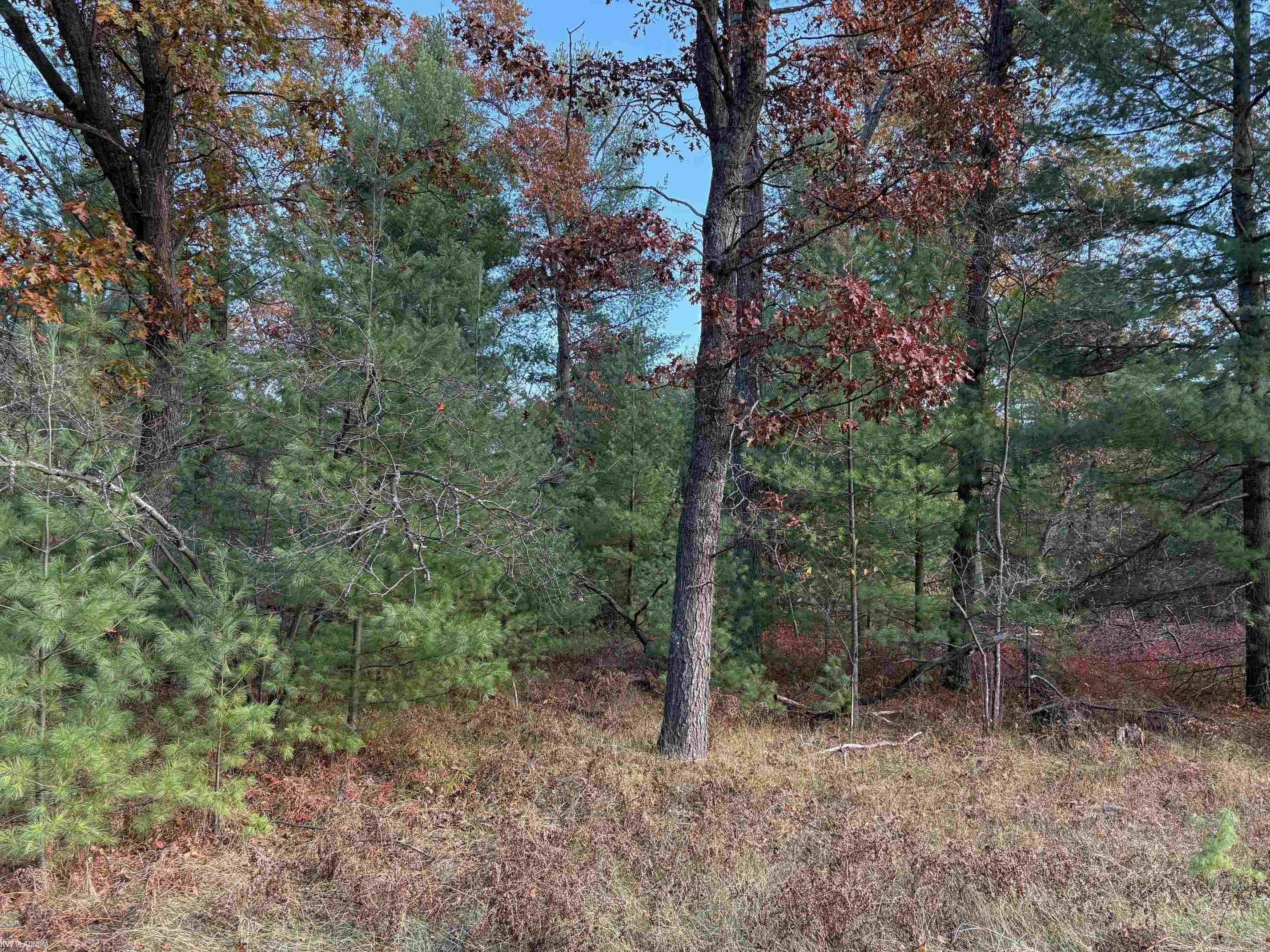 Lot 99 Wilderness Drive Property Photo 1