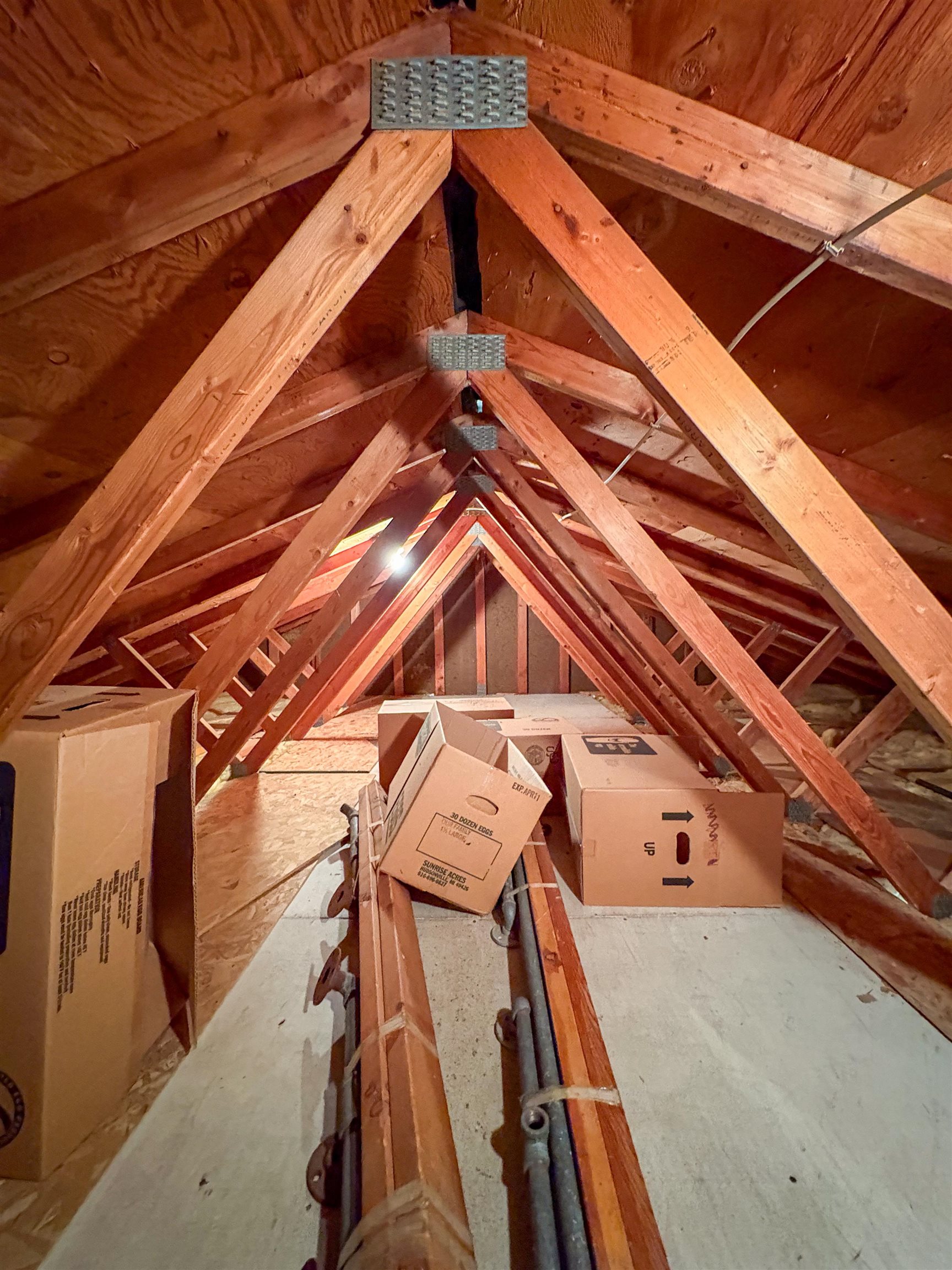 1113 E Carpenter Roads Property Photo 36