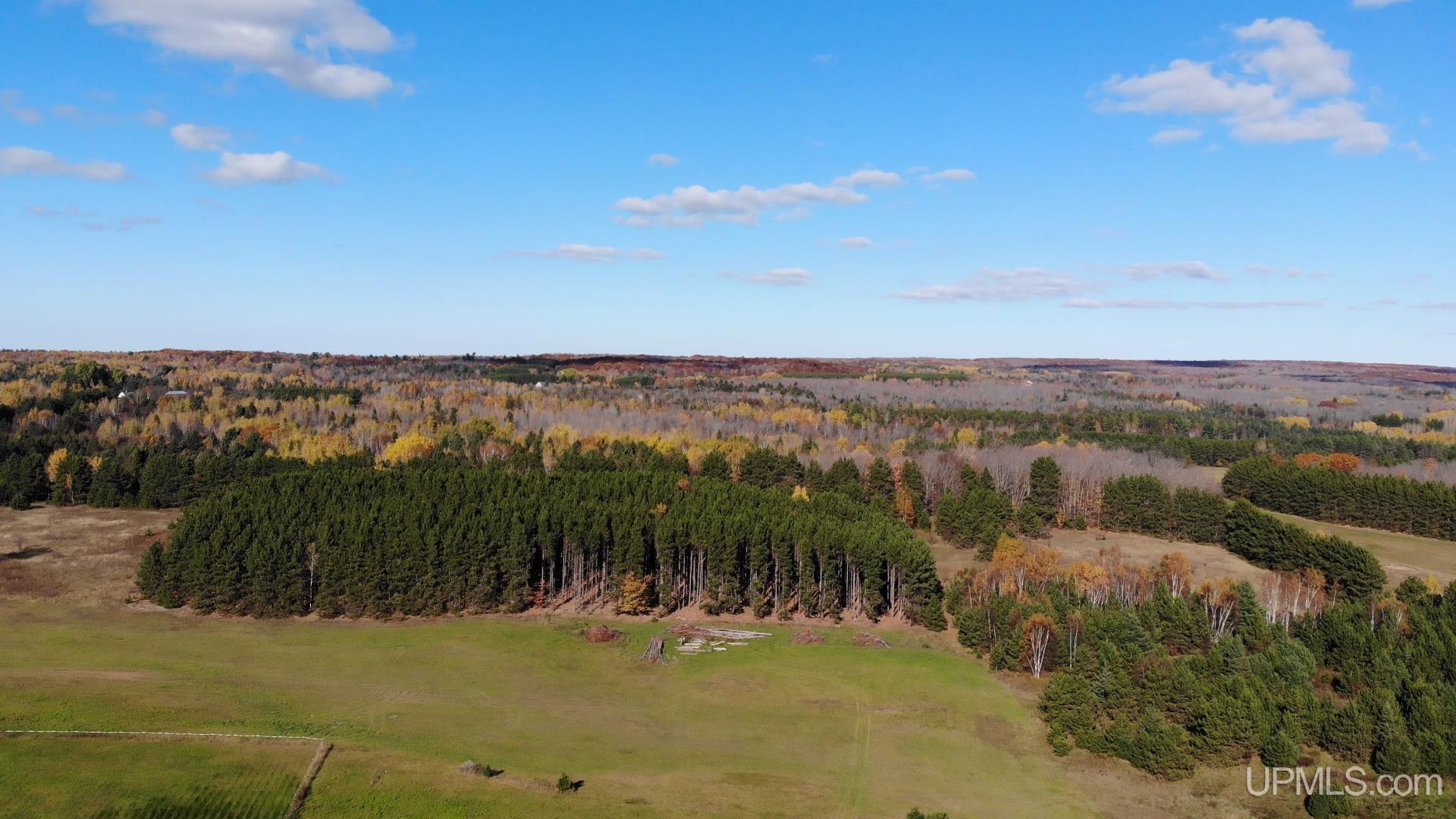 13910 Liminga Road Property Photo 51