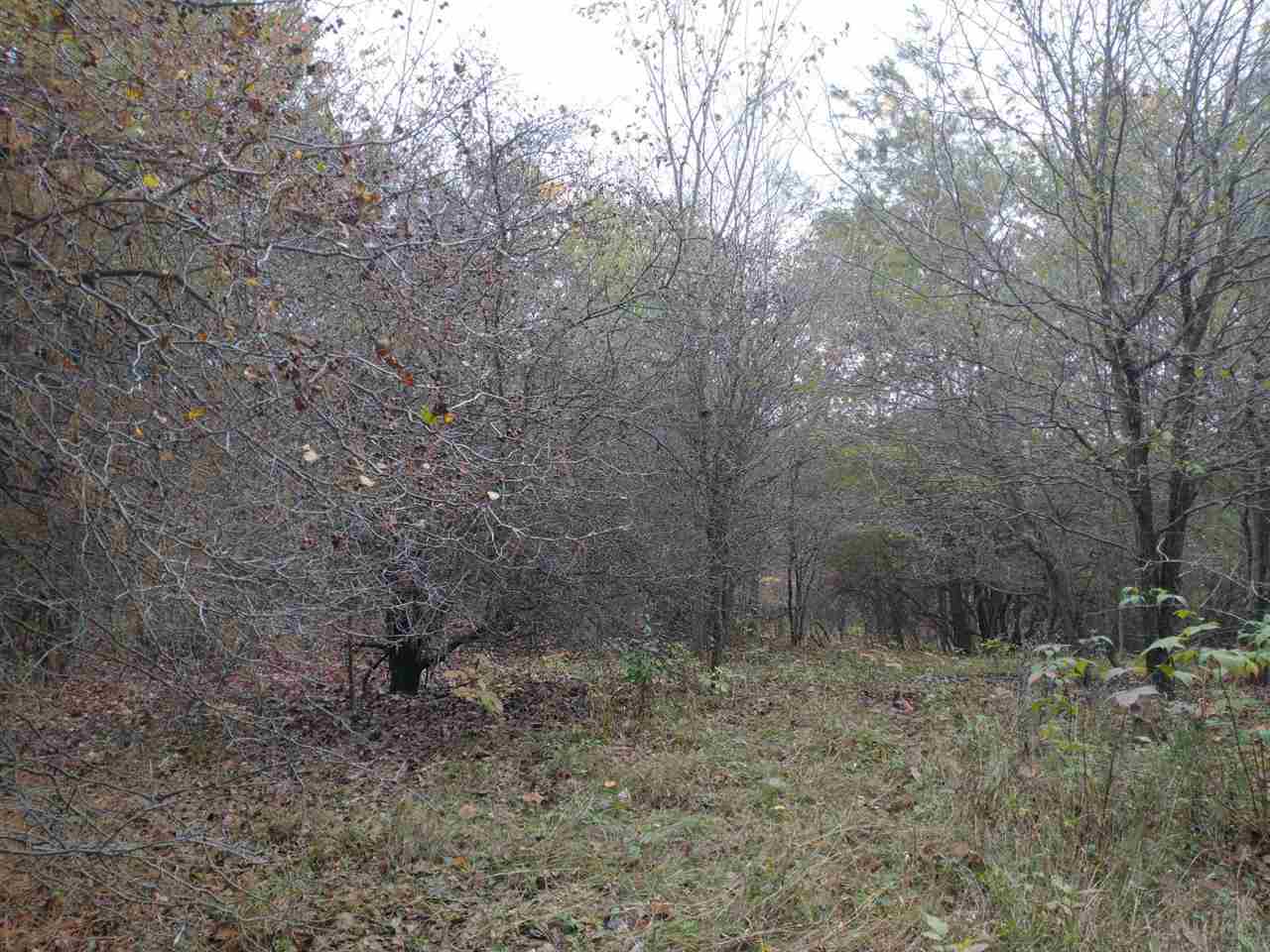 Lot 262 Islander Way Property Photo 4