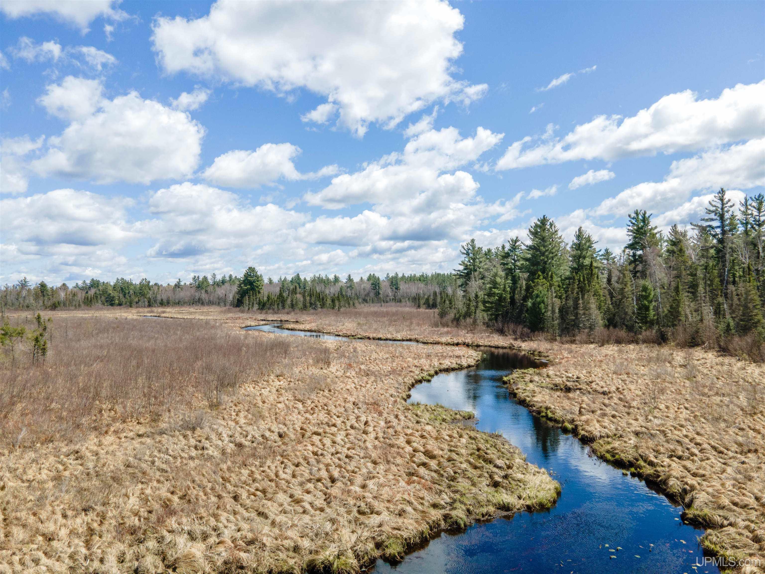 Tbd Forest 3612 Road Property Photo 19