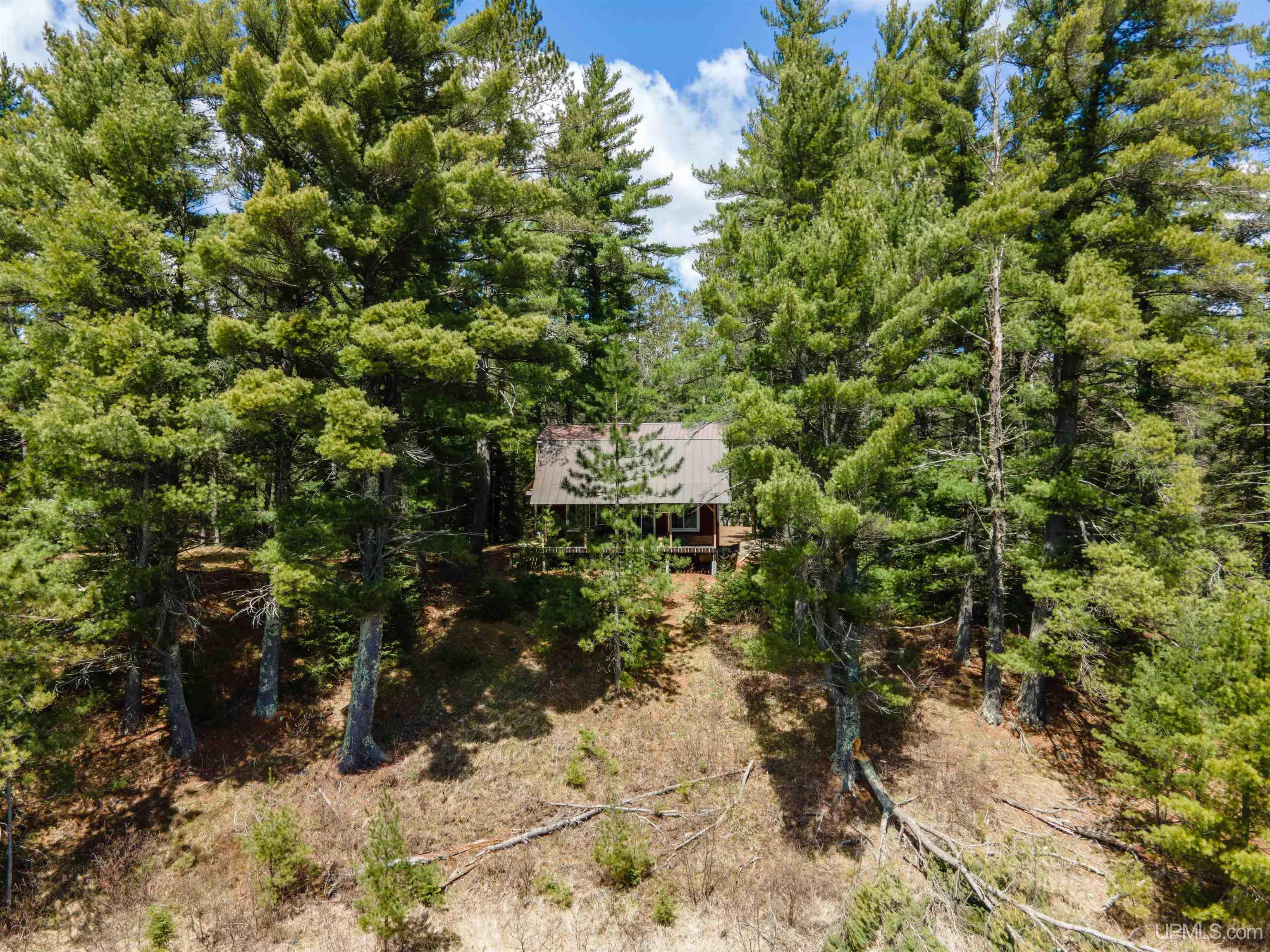 Tbd Forest 3612 Road Property Photo 20