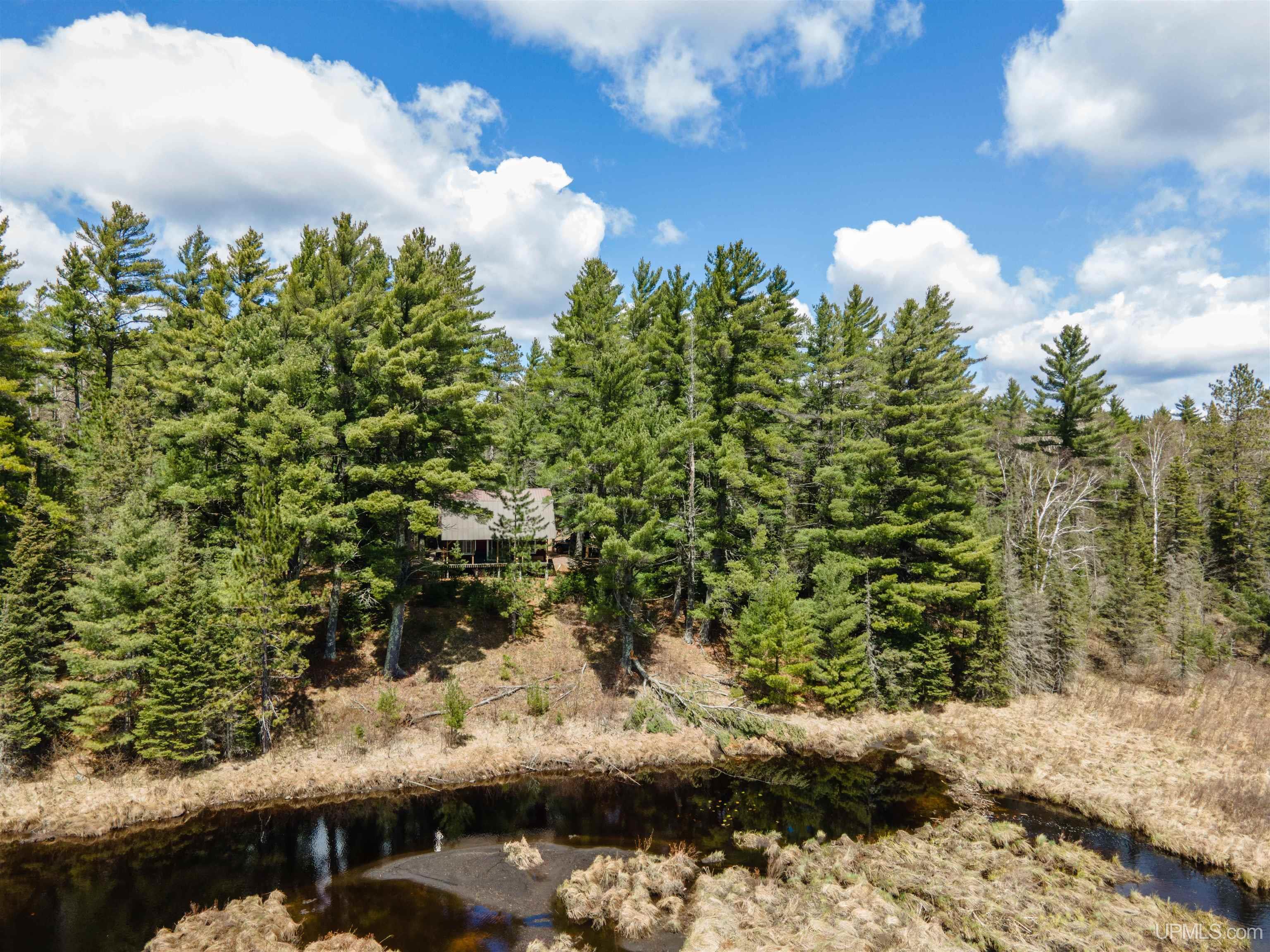 Tbd Forest 3612 Road Property Photo 21