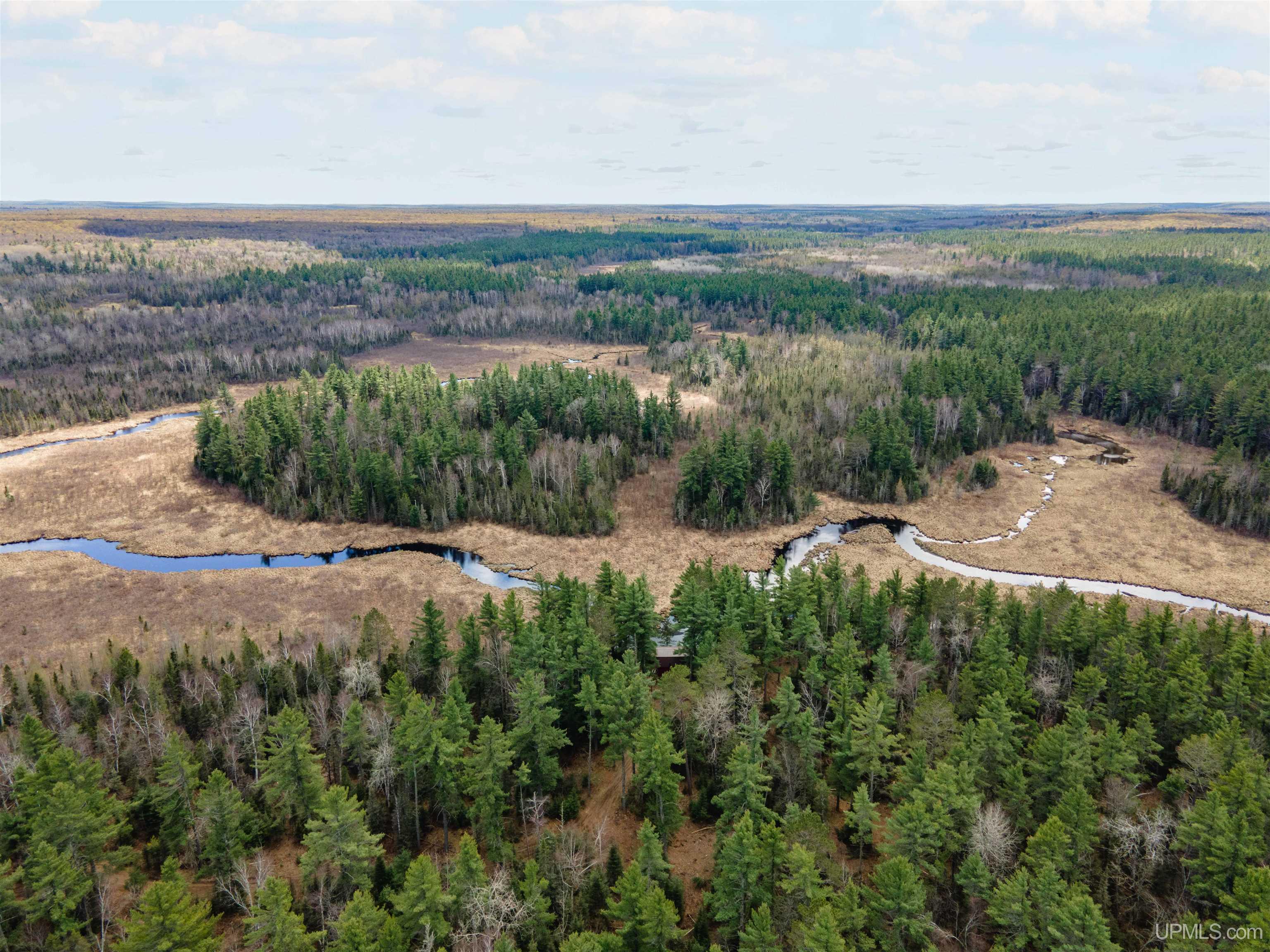 Tbd Forest 3612 Road Property Photo 24