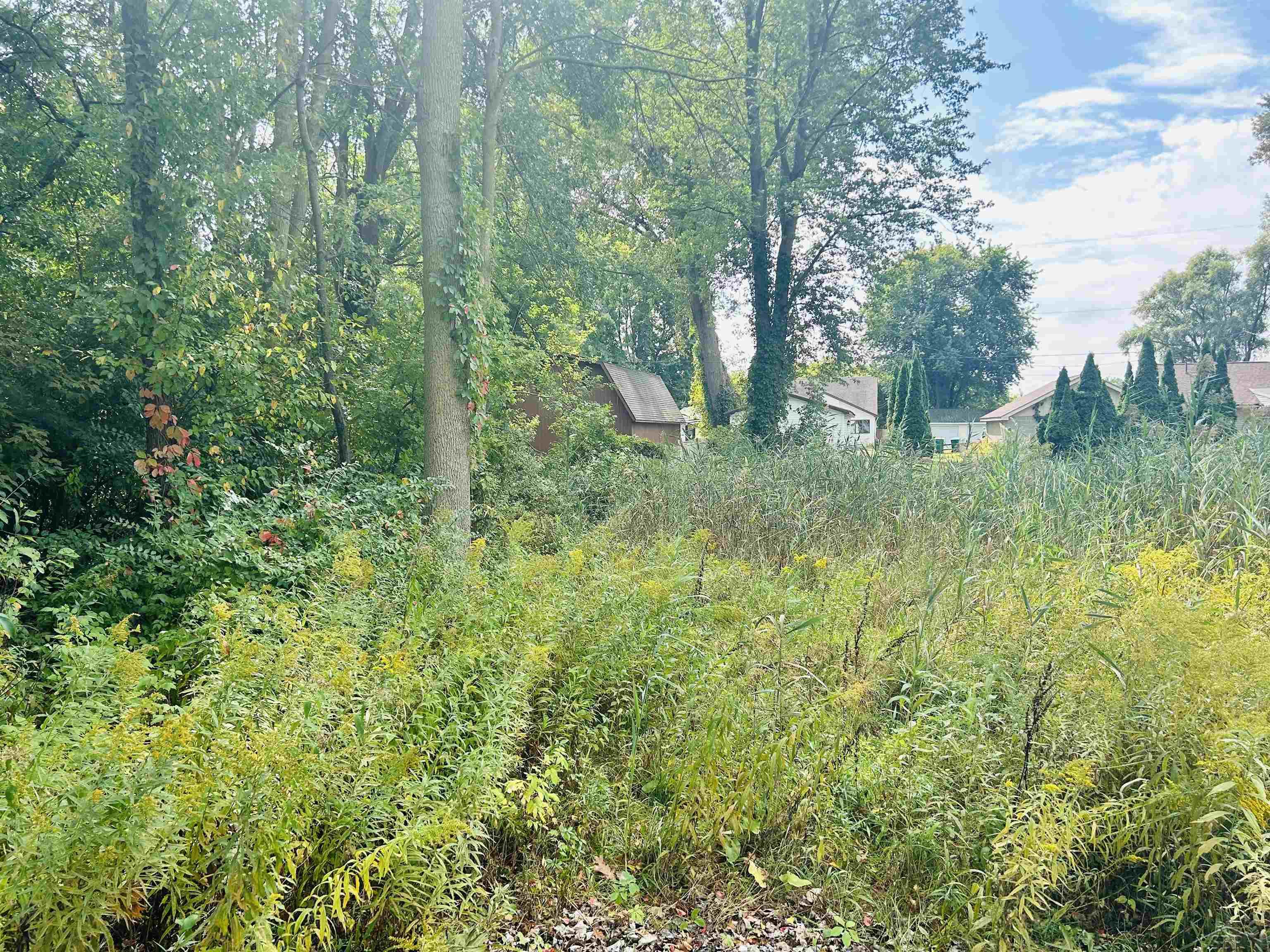 Shady Shores Road Property Photo 7