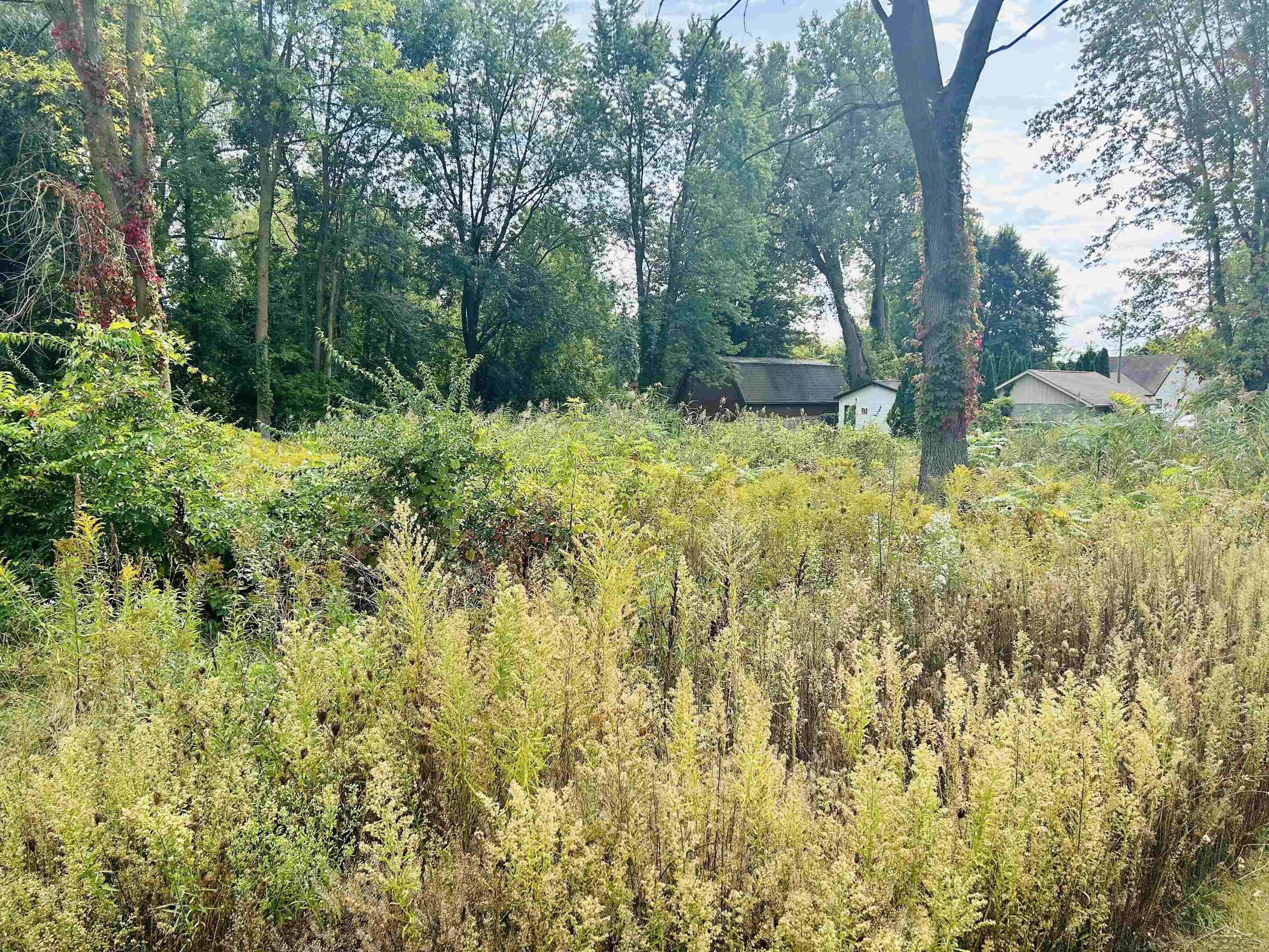 Shady Shores Road Property Photo 8