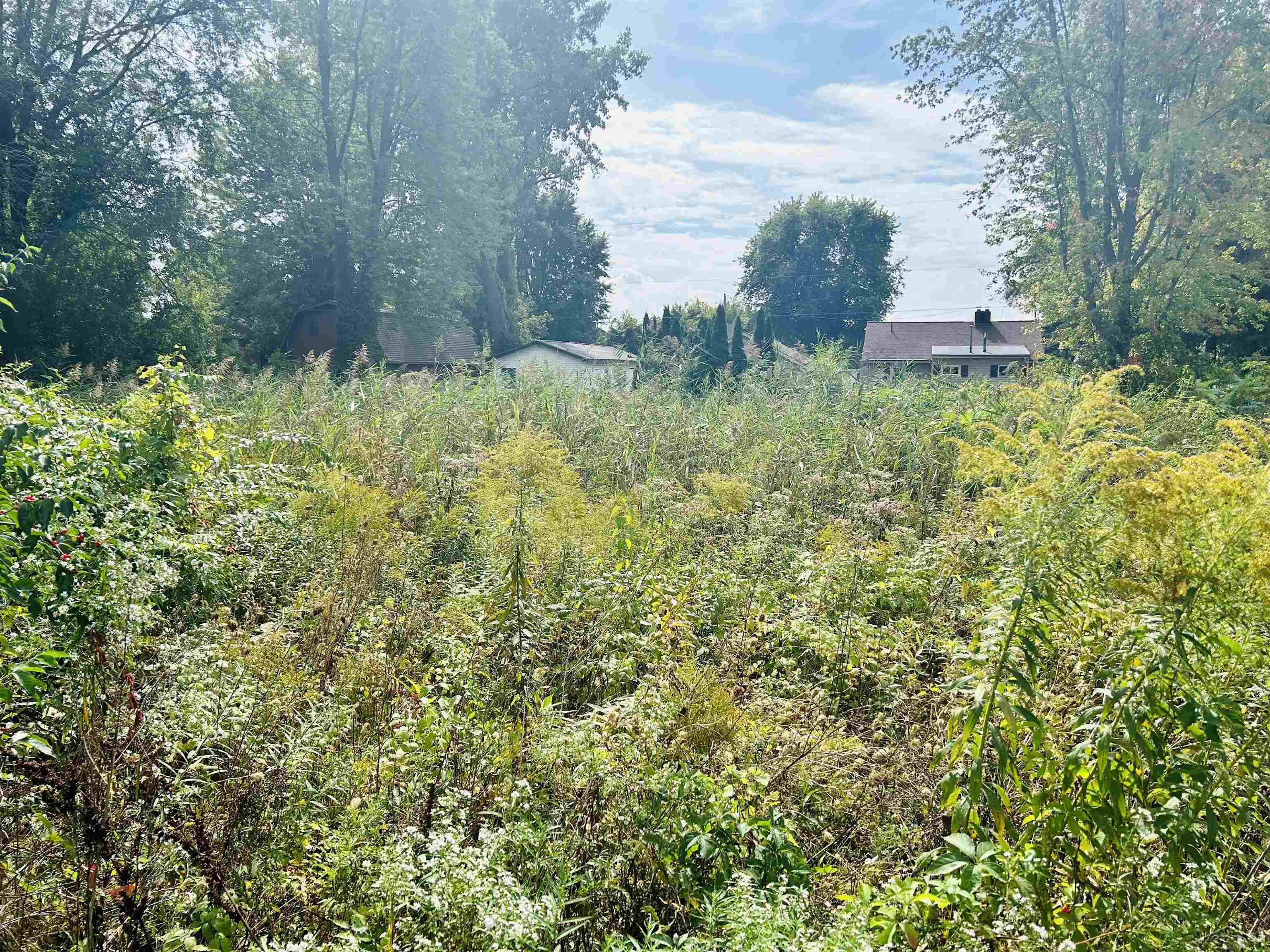Shady Shores Road Property Photo 9