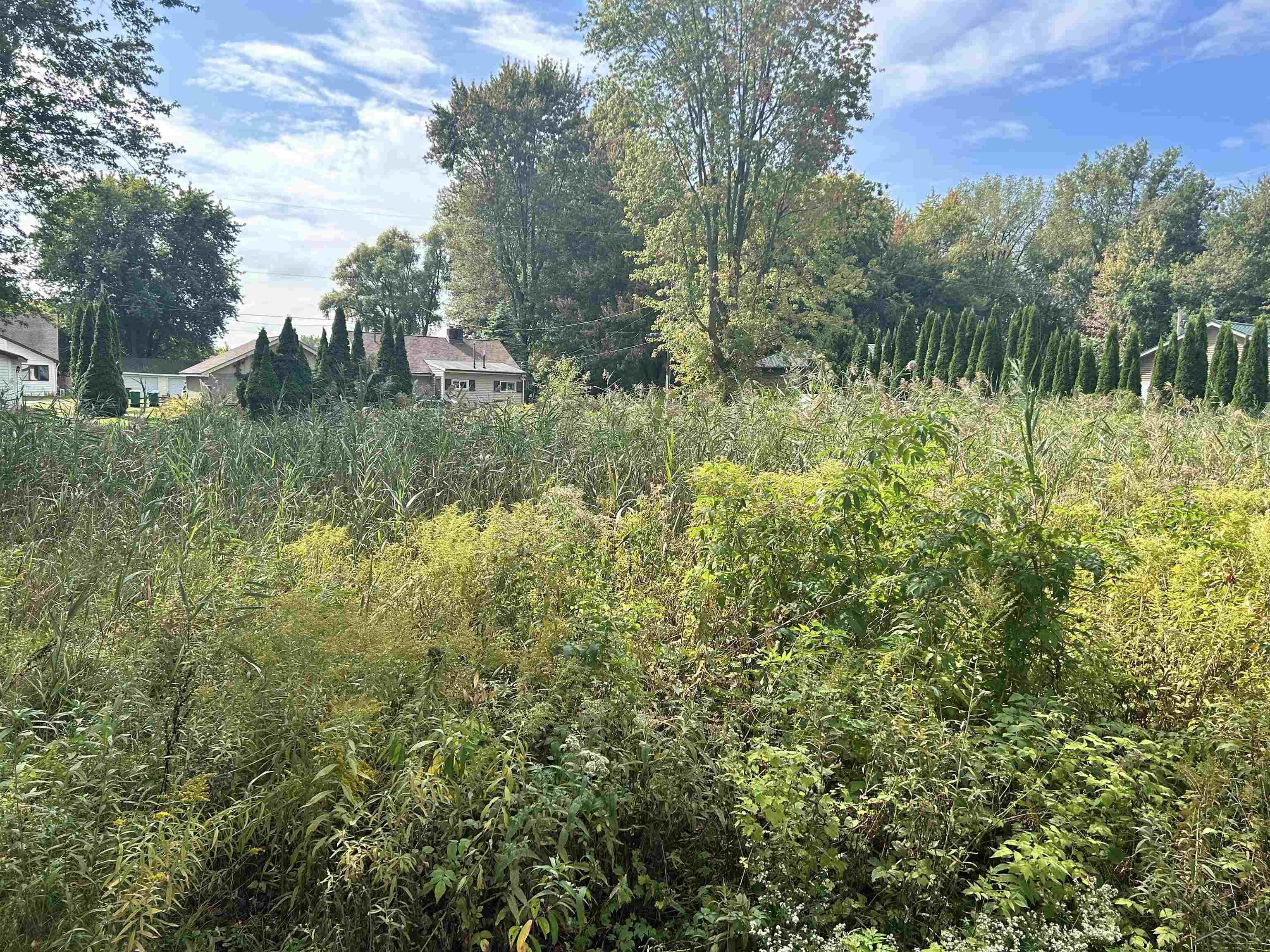 Shady Shores Road Property Photo 10