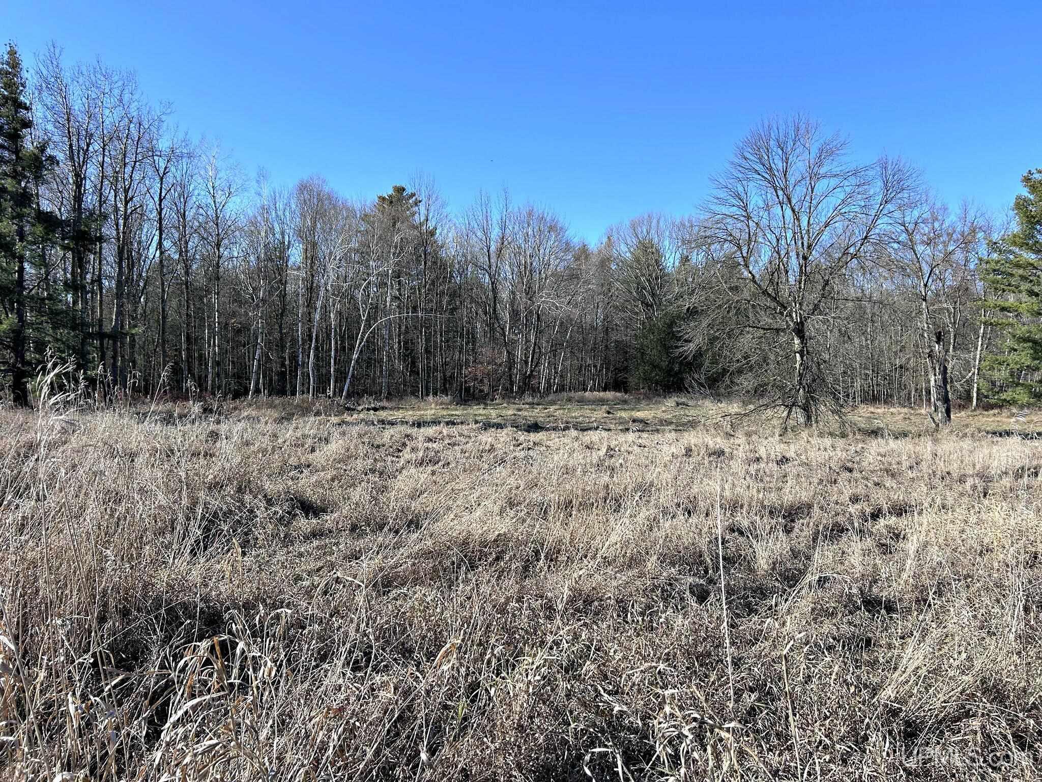 Tbd 5.25 Lane Property Photo 8