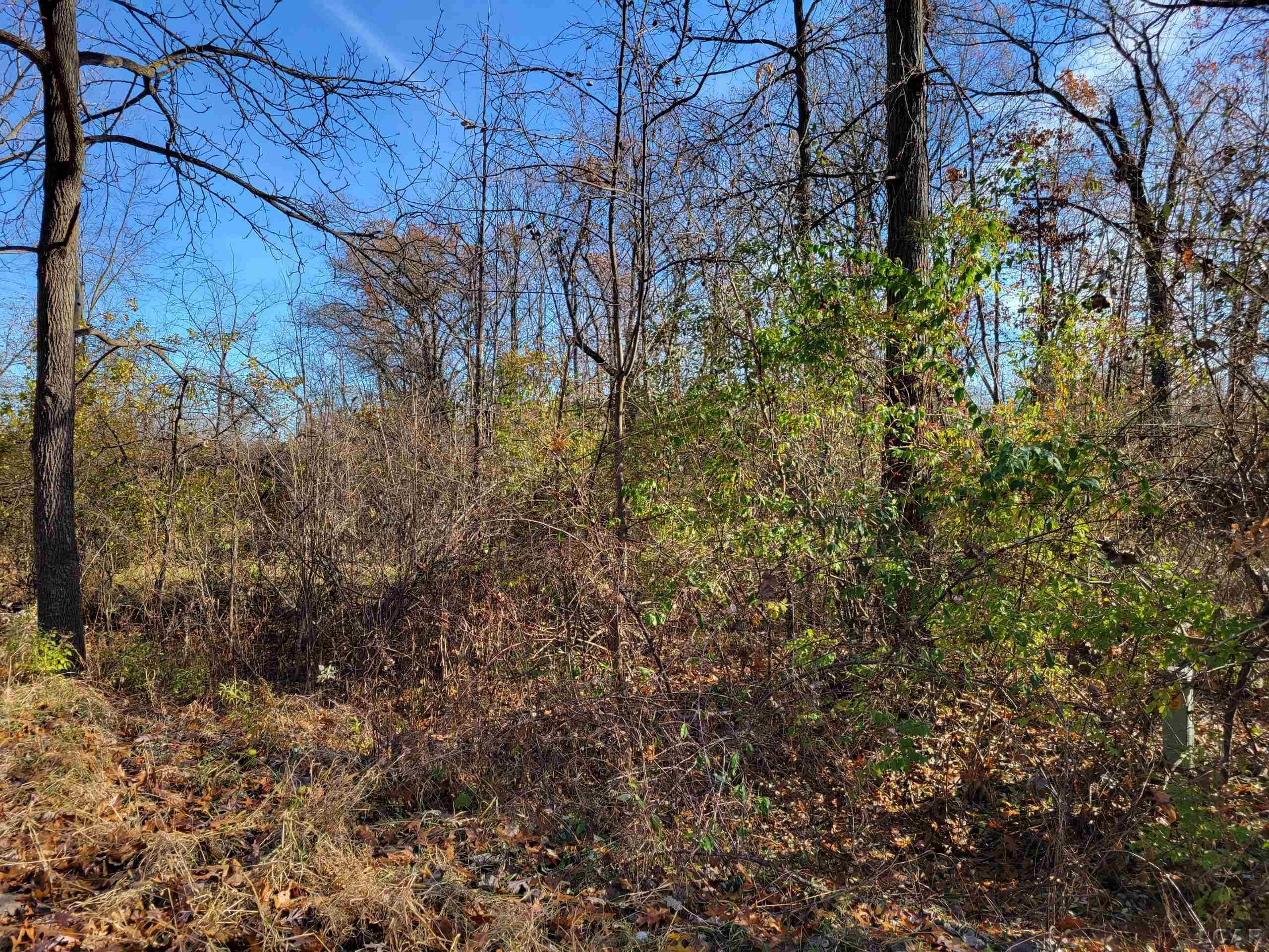 9951 Southlawn Circle Property Photo 1