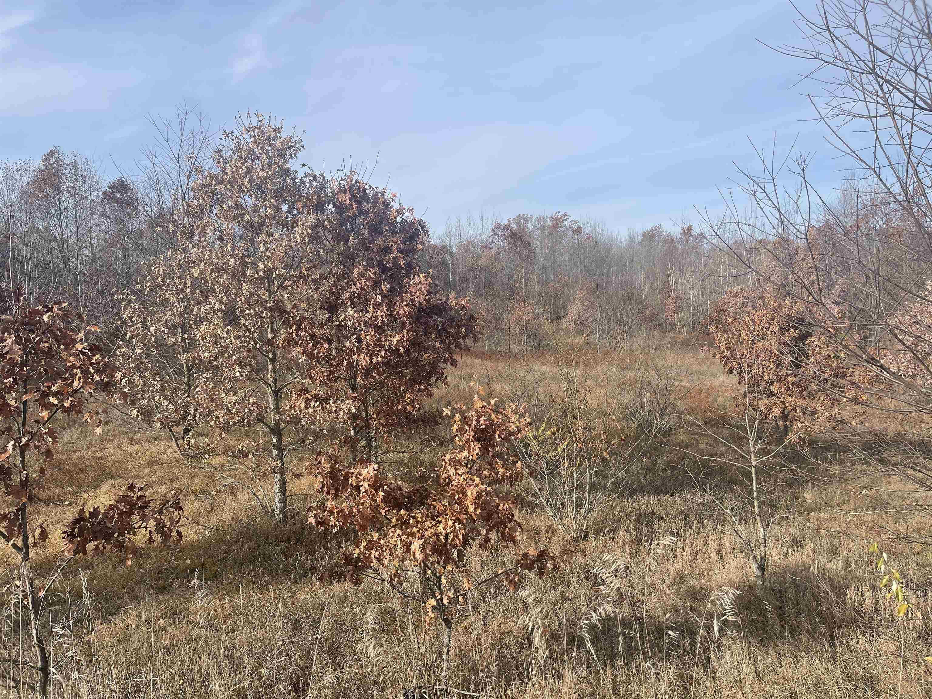 Tbd N Clare Avenue Property Photo 28