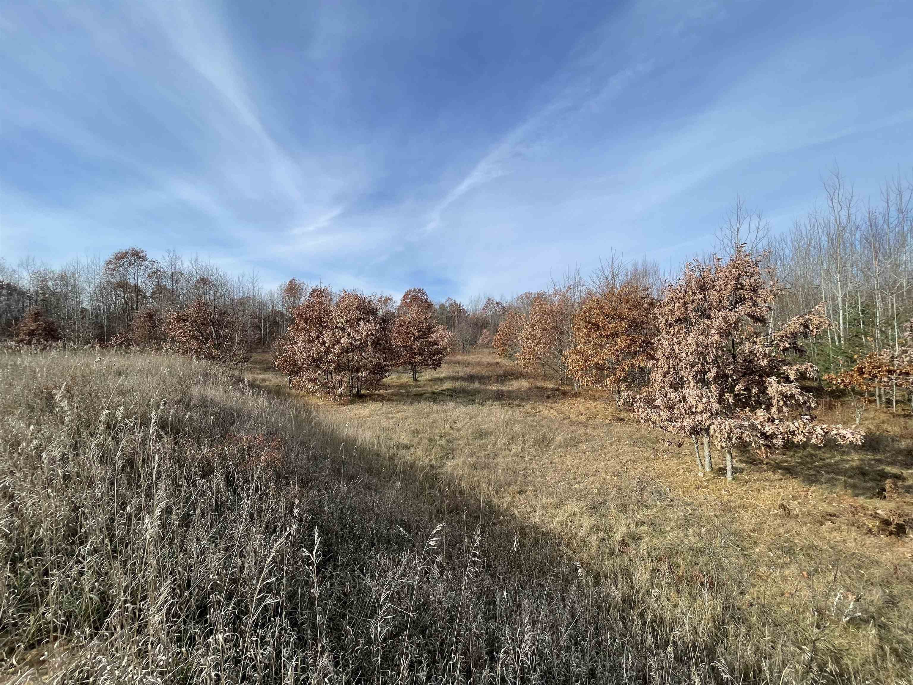 Tbd N Clare Avenue Property Photo 29
