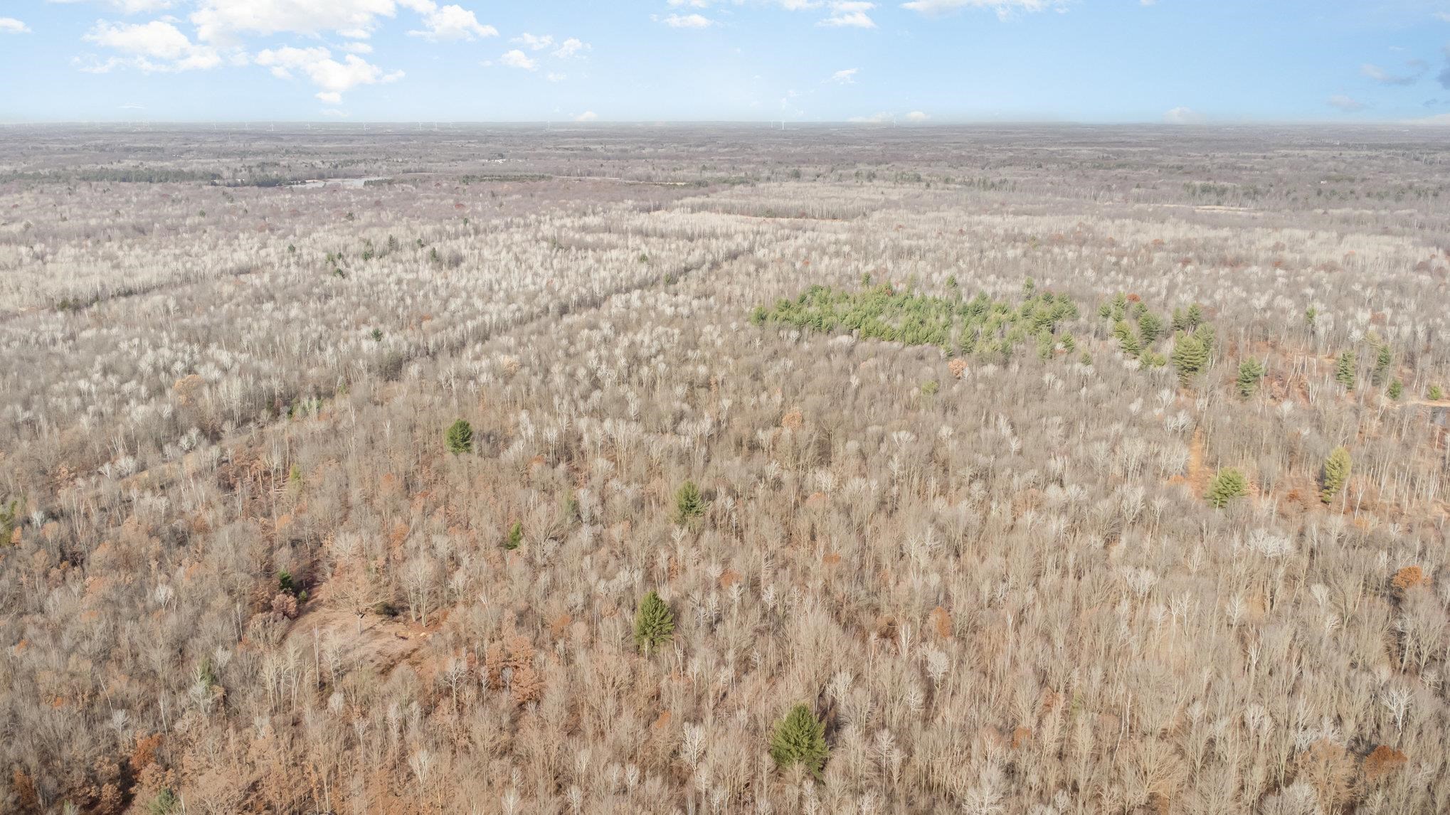 S County Line Road Property Photo 5