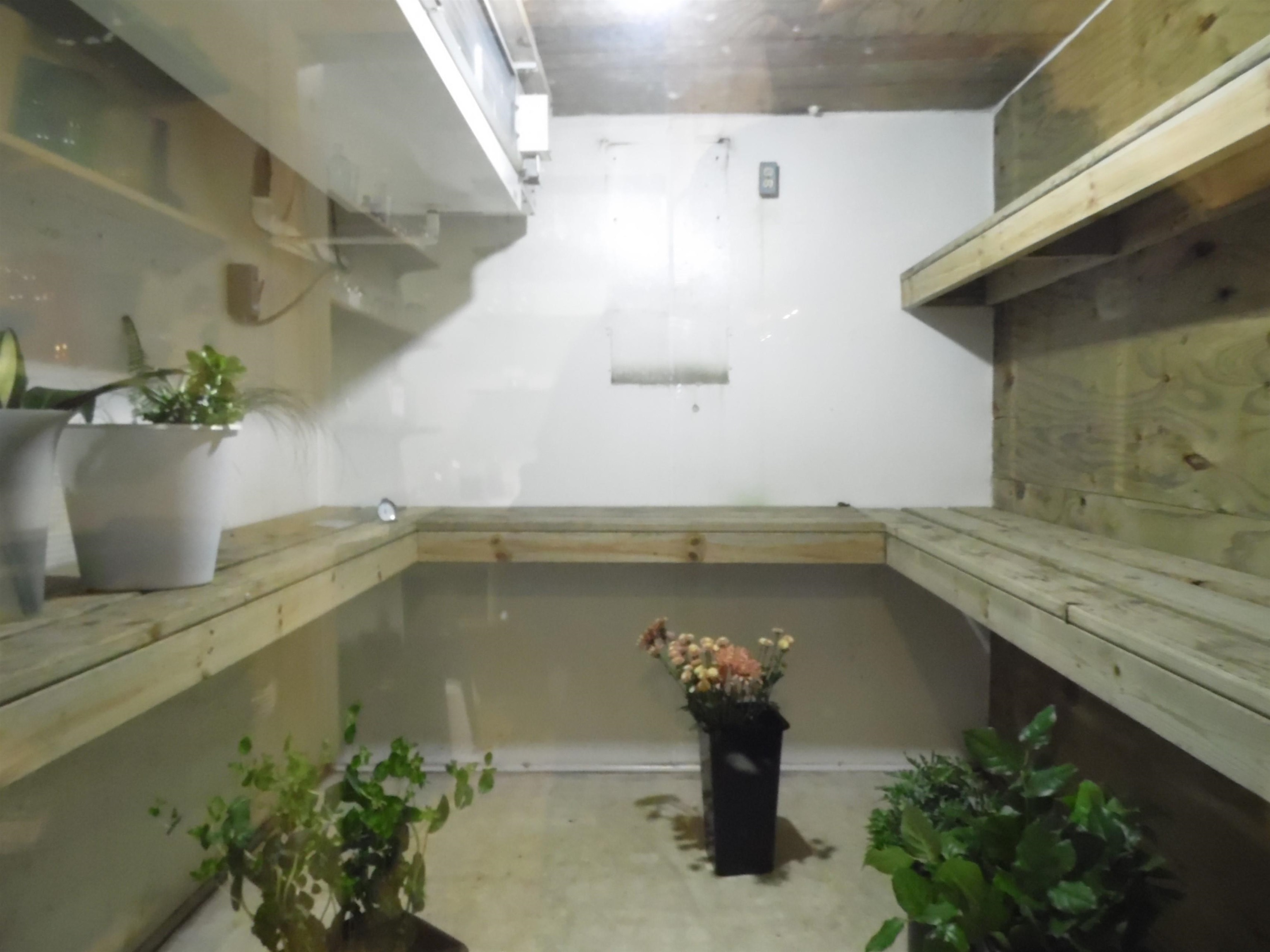 1109 W Cedar Avenue Property Photo 30