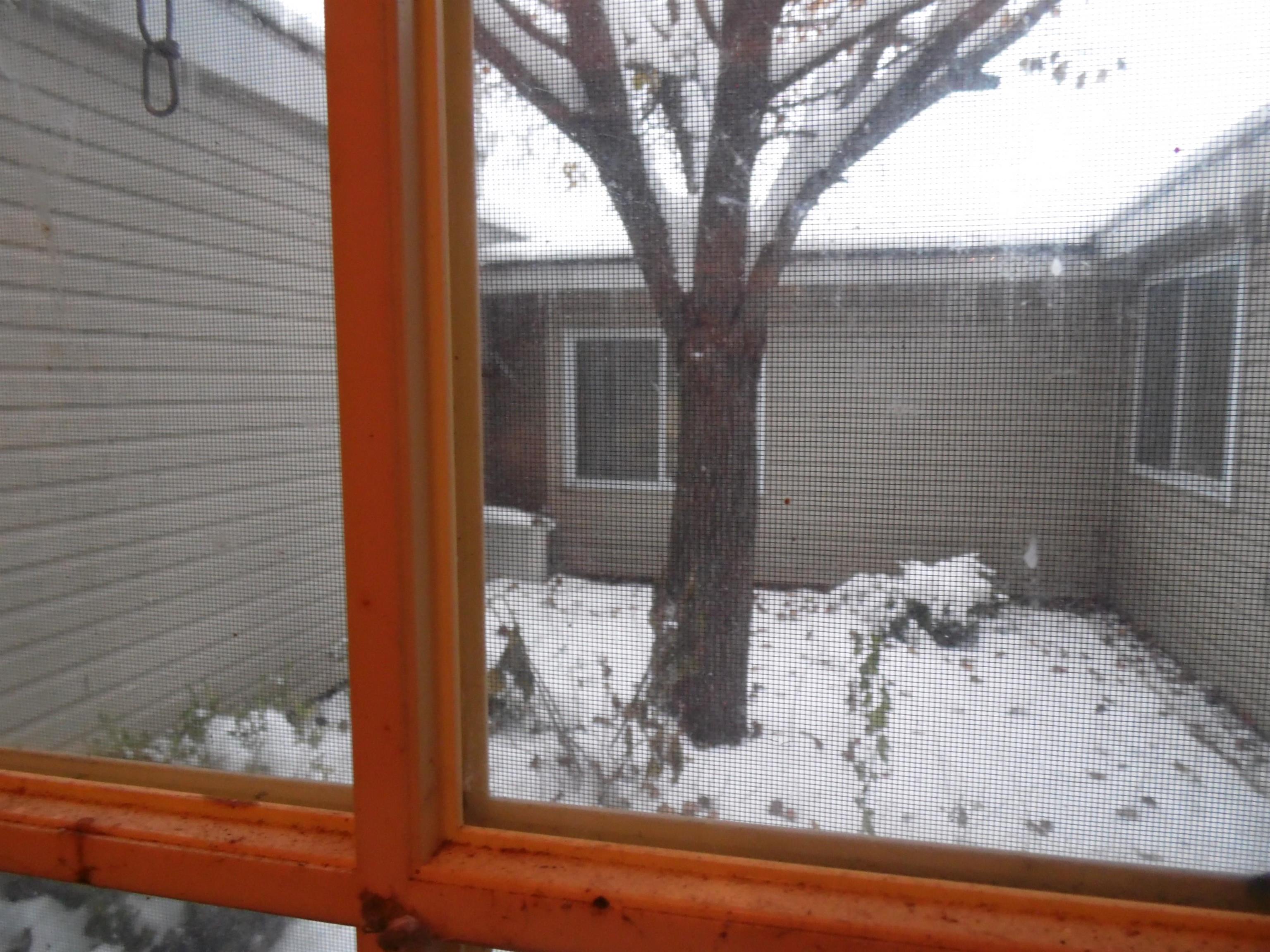 1109 W Cedar Avenue Property Photo 42