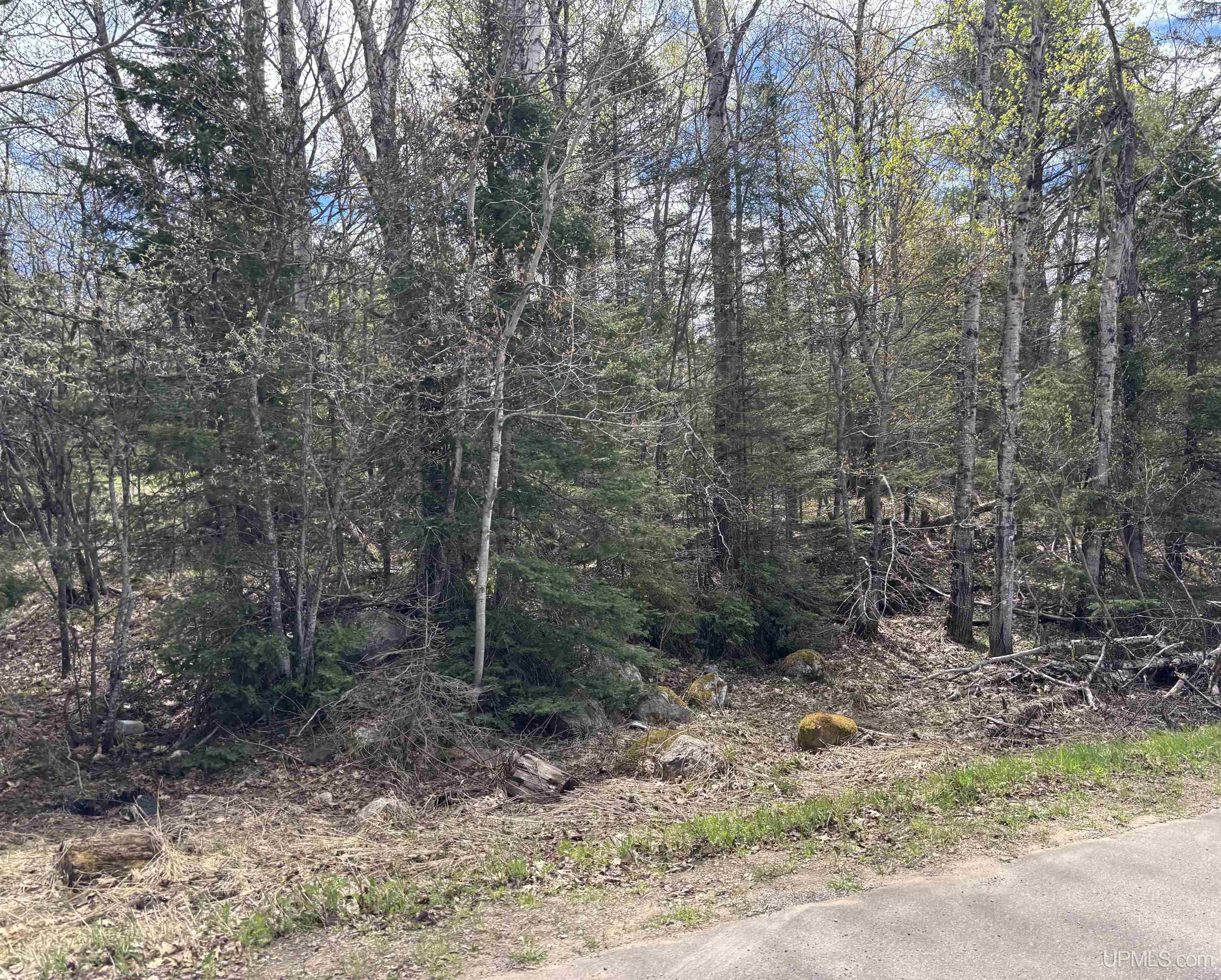 Tbd Al County Road Property Photo 1