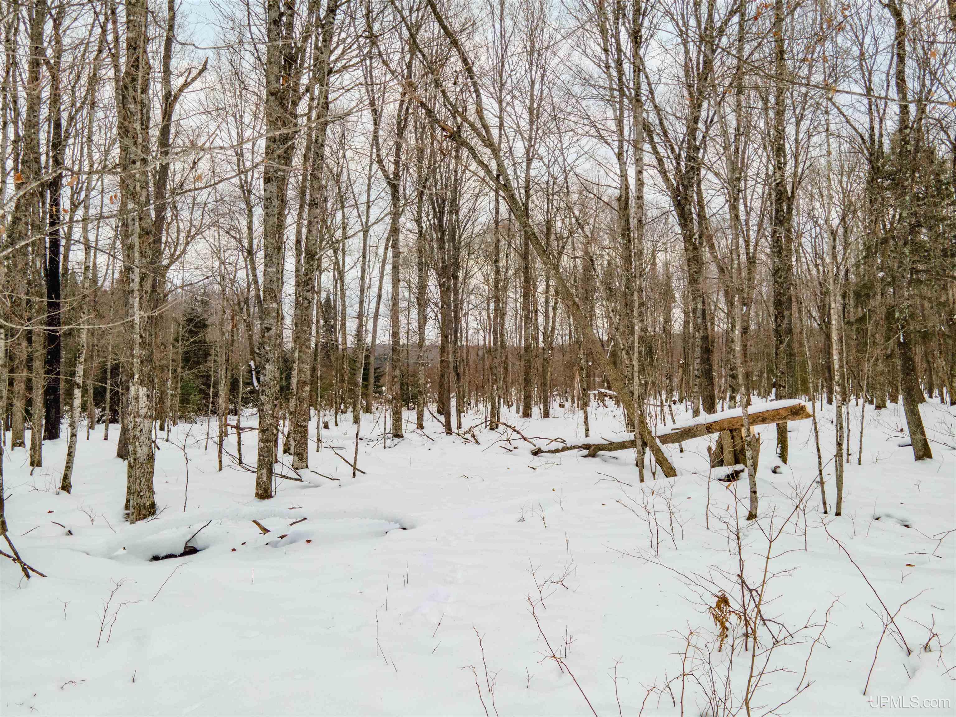 Lot 9 Elizabeth Lane Property Photo 2