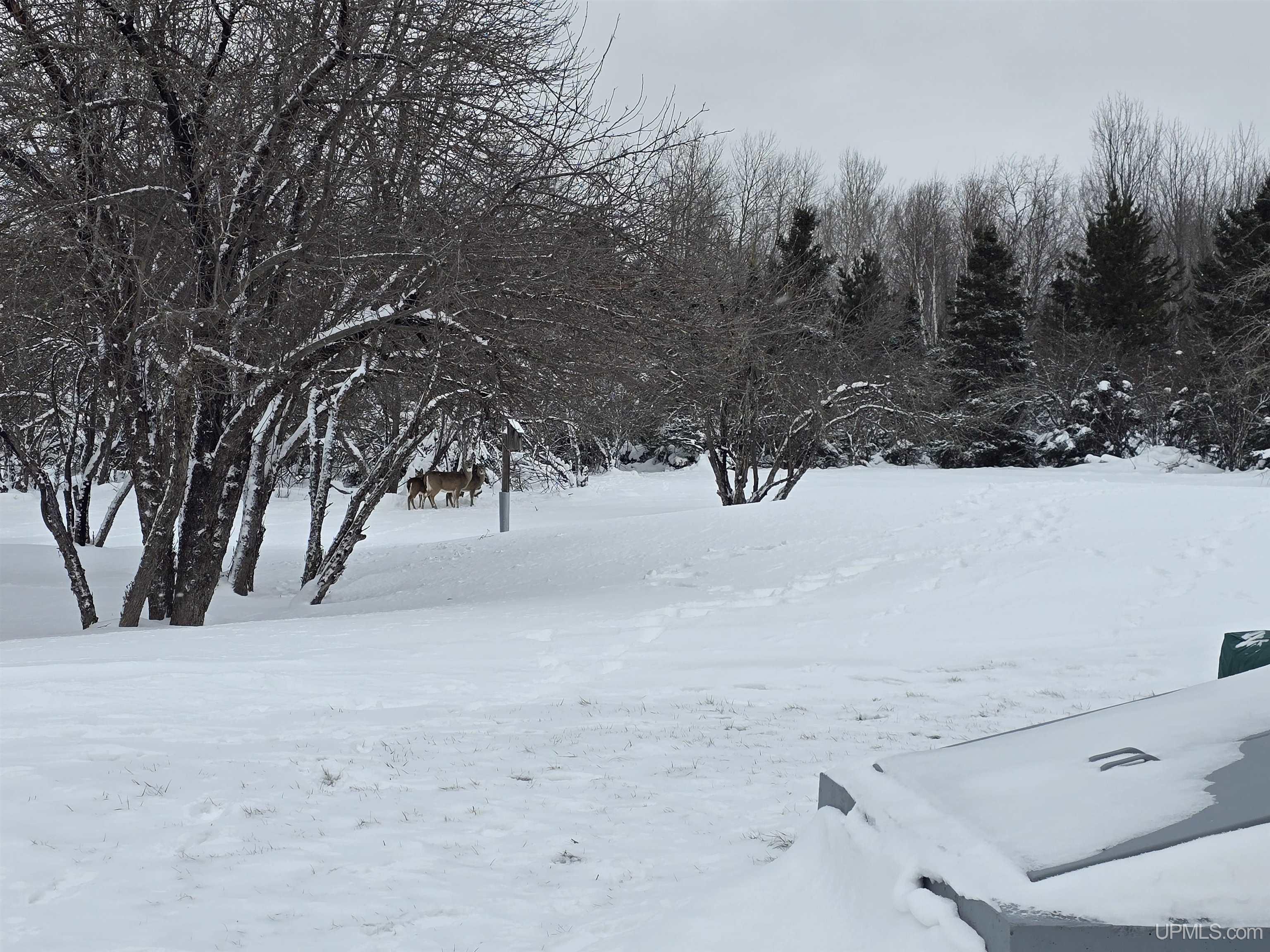 18217 2nd Sand Beach Road Property Photo 47