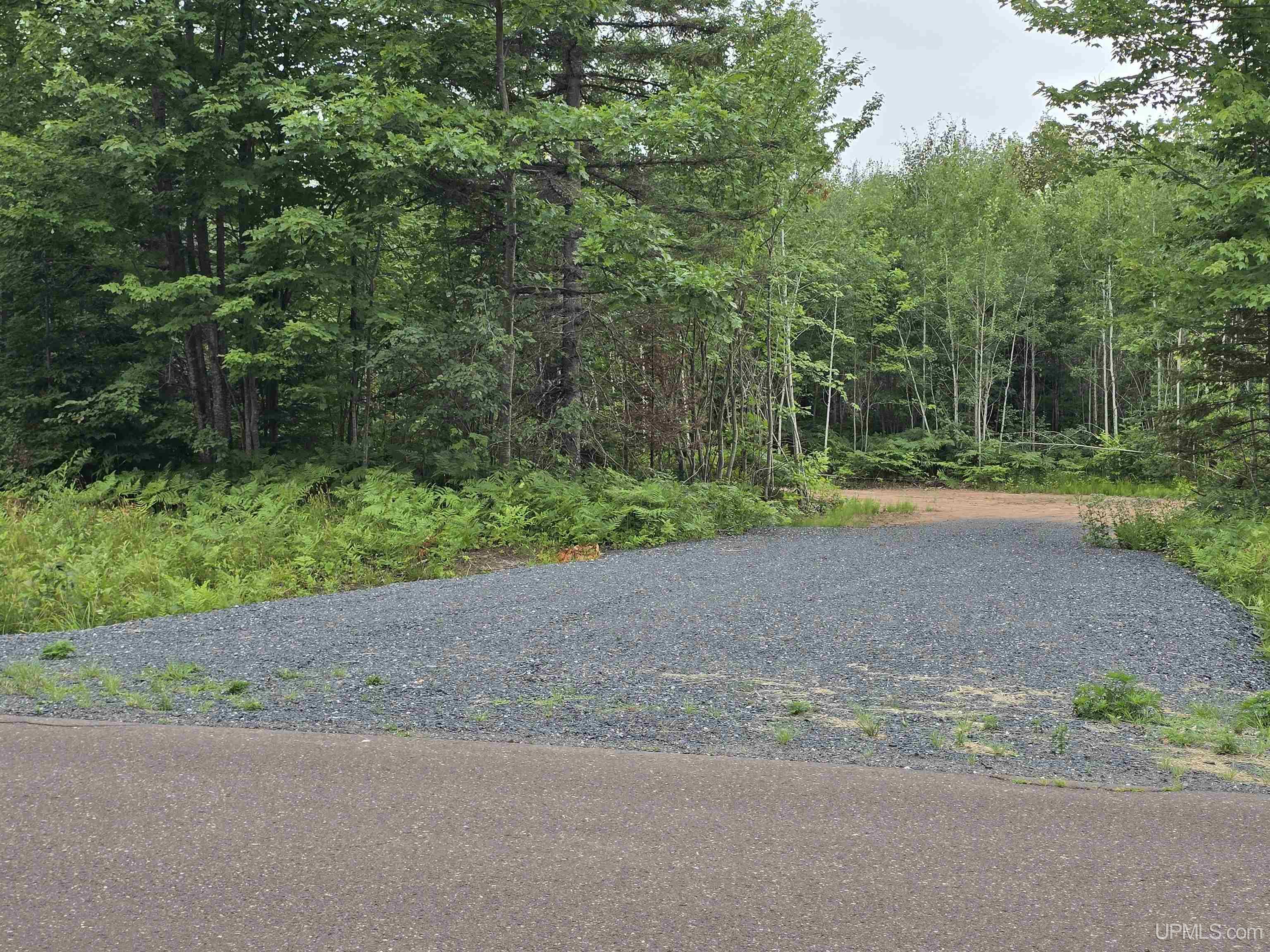 Tbd Parcel 1 Townline Road Property Photo 1