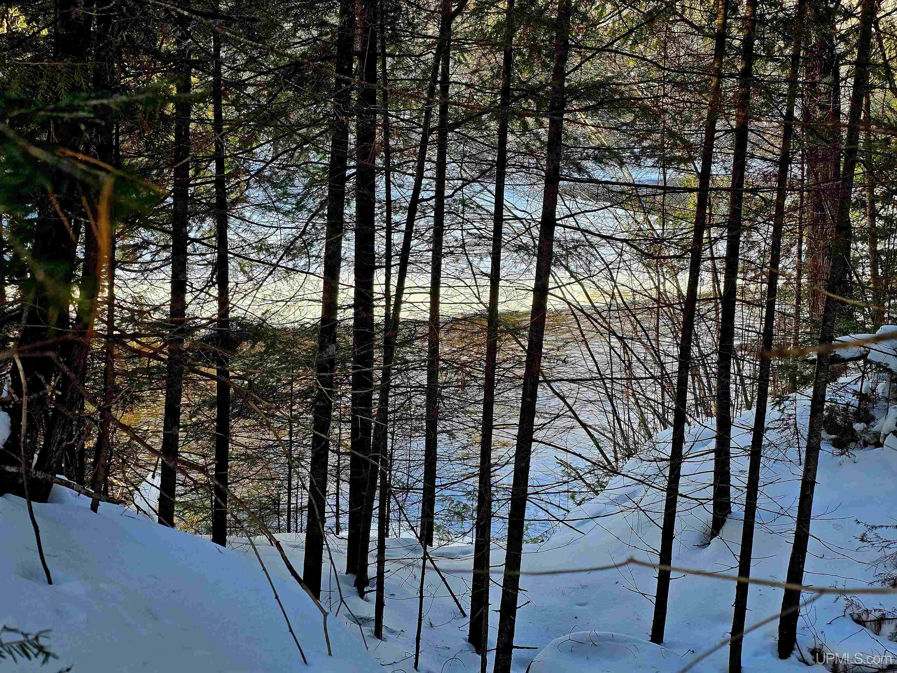 449 S Iron Pin Trail Property Photo 4