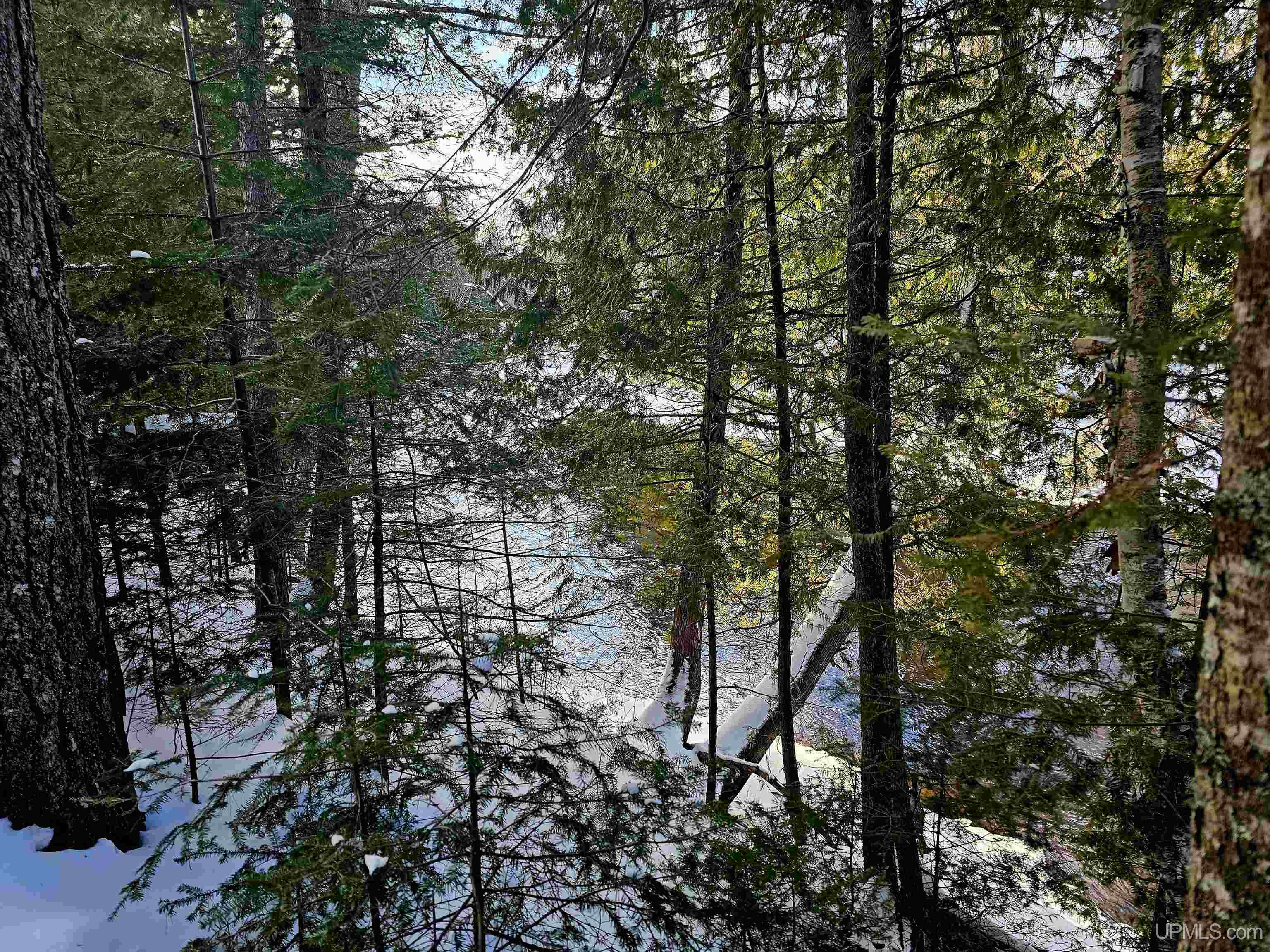 449 S Iron Pin Trail Property Photo 5