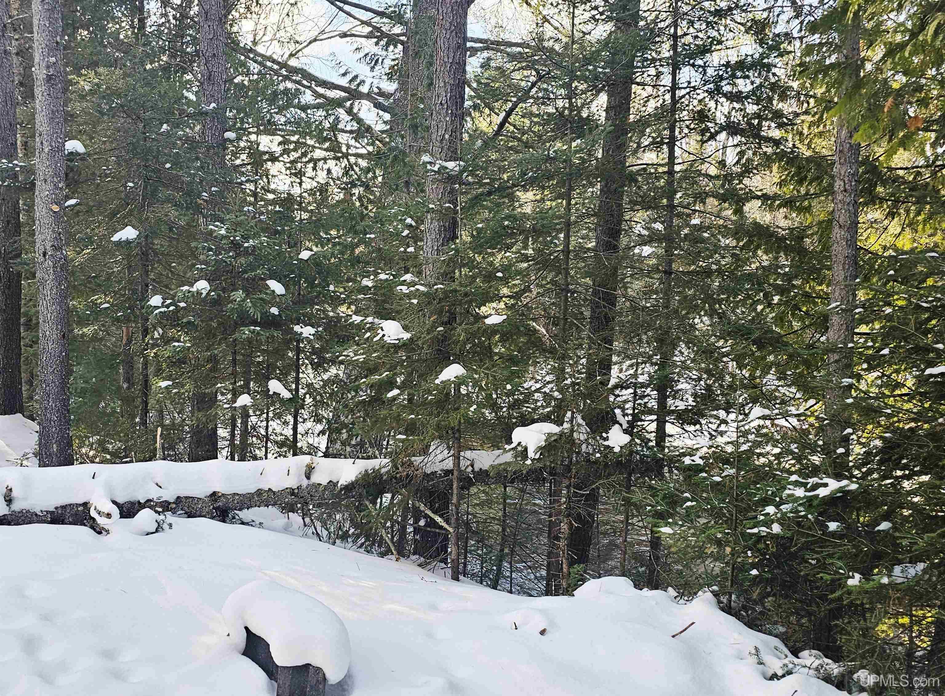 449 S Iron Pin Trail Property Photo 7