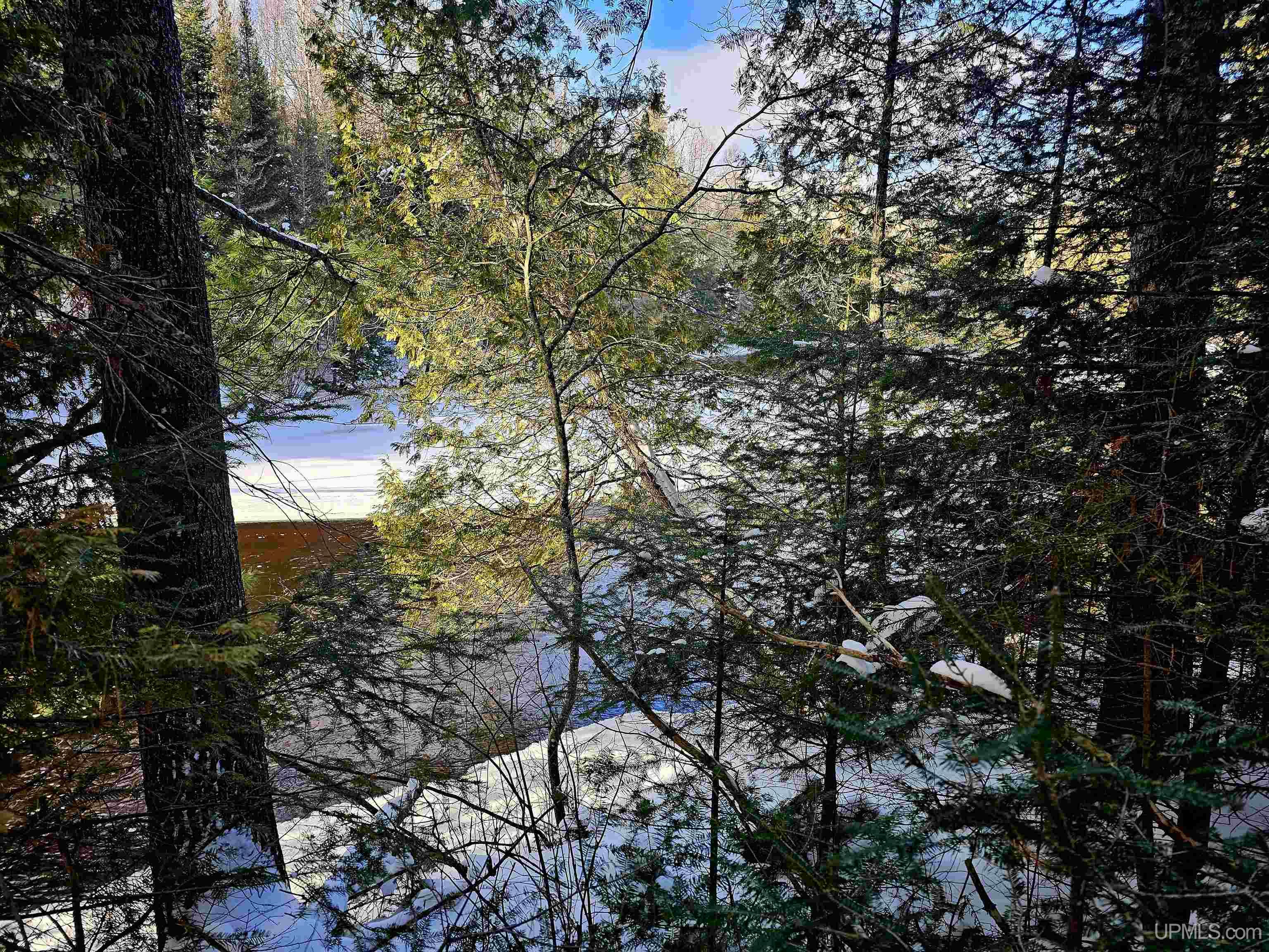 449 S Iron Pin Trail Property Photo 11