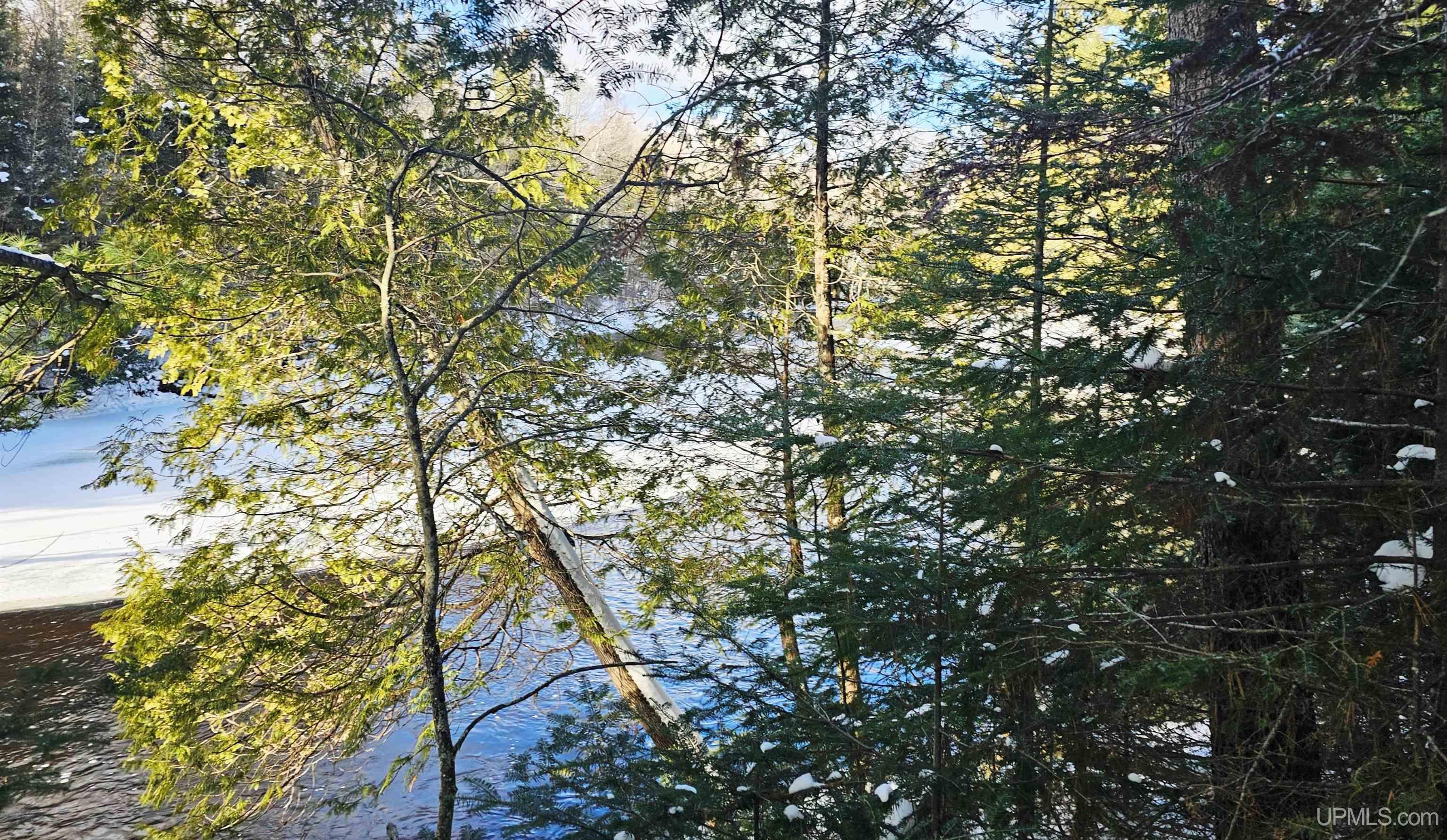 449 S Iron Pin Trail Property Photo 12