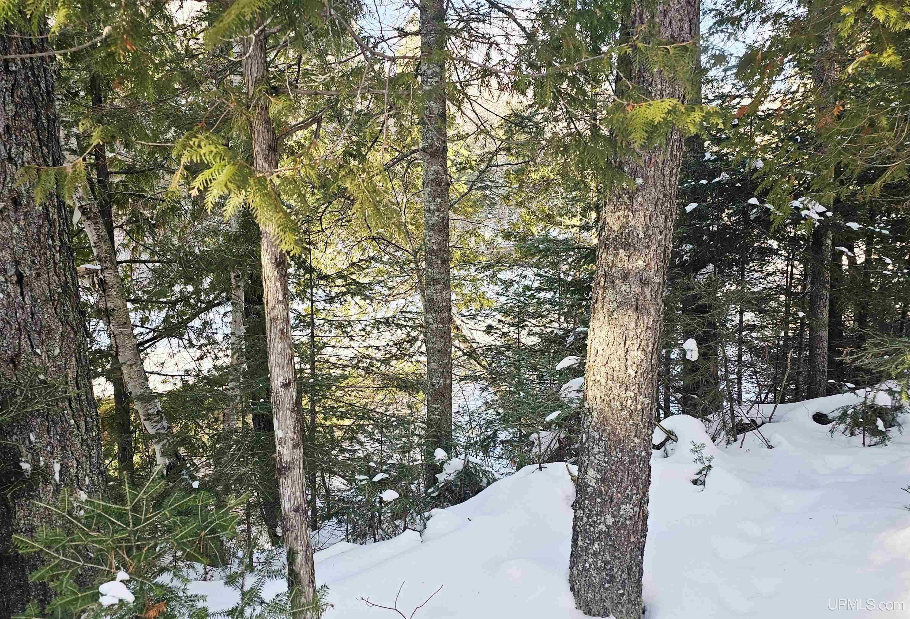 449 S Iron Pin Trail Property Photo 13