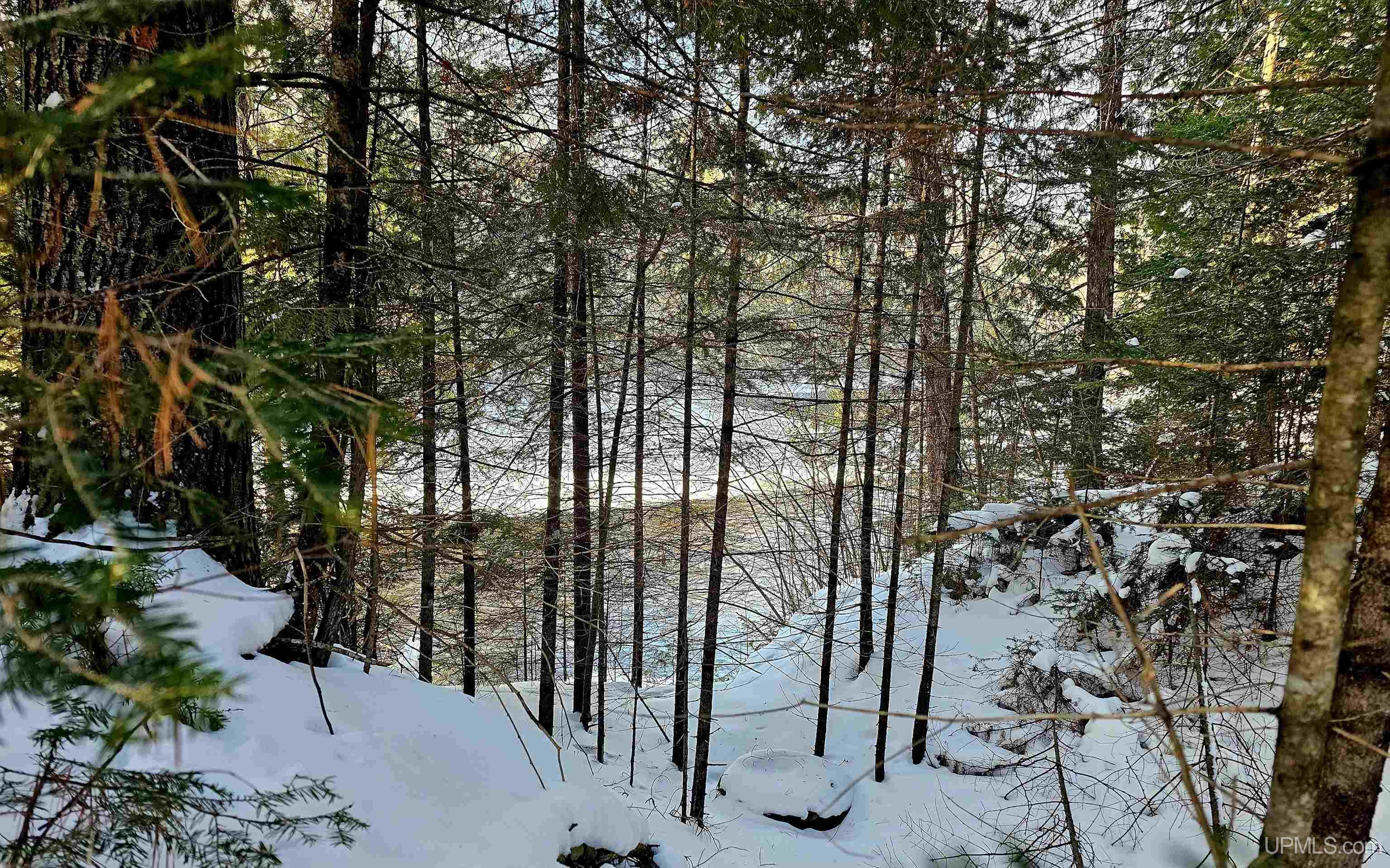 449 S Iron Pin Trail Property Photo 14