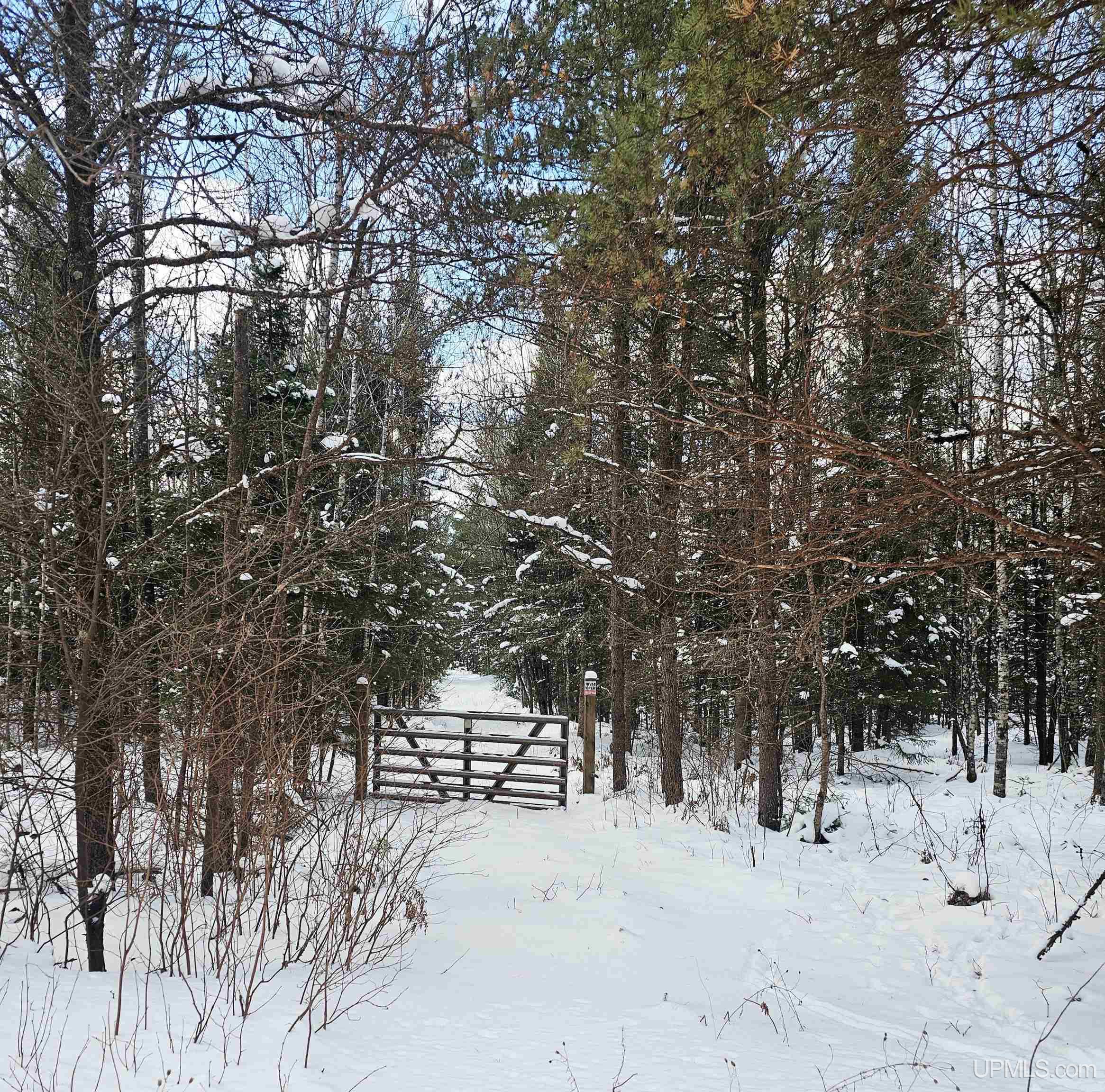 449 S Iron Pin Trail Property Photo 25