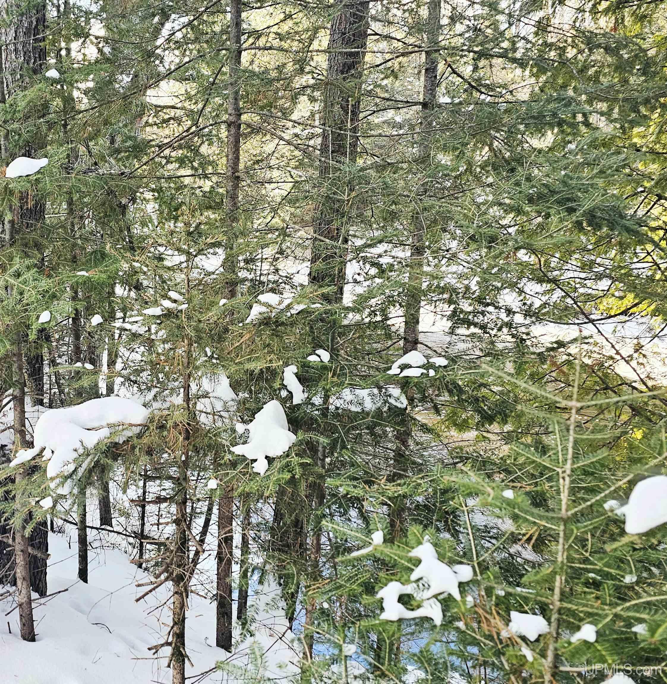 449 S Iron Pin Trail Property Photo 27