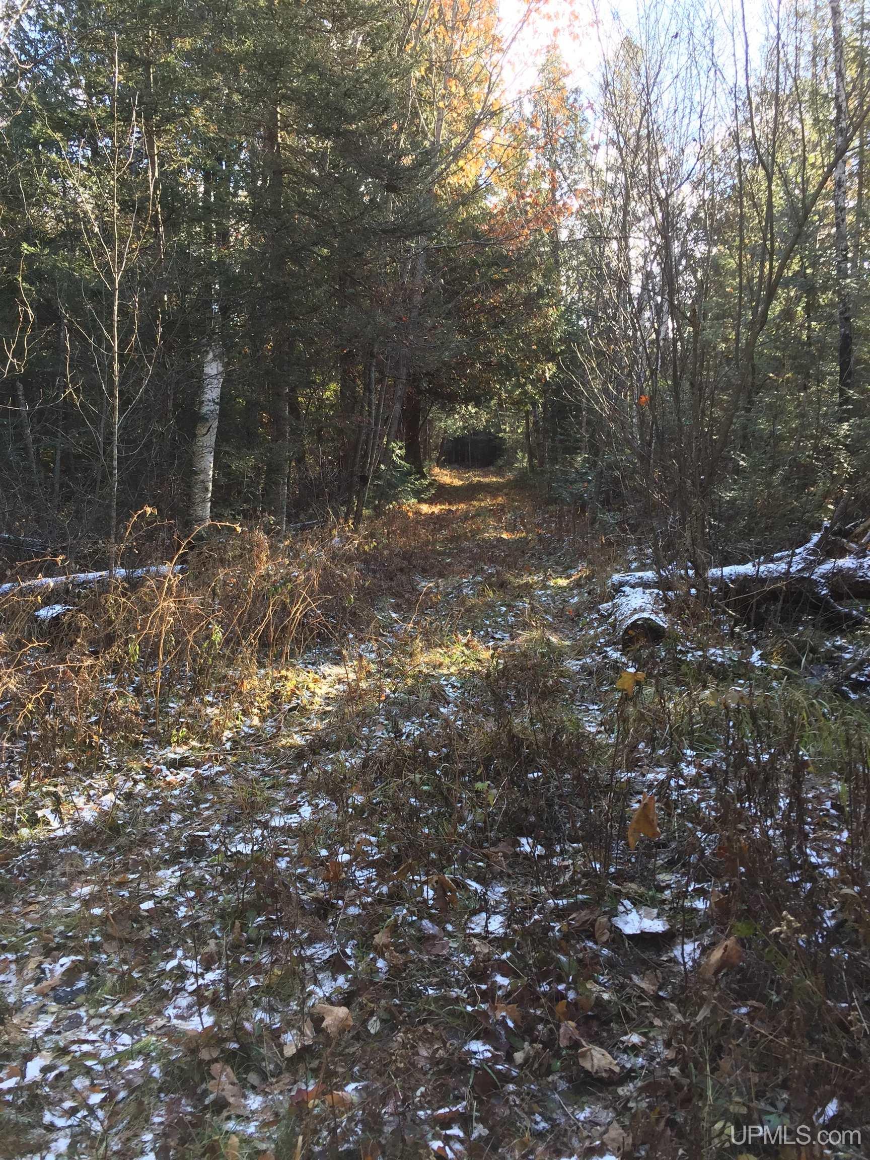 449 S Iron Pin Trail Property Photo 29