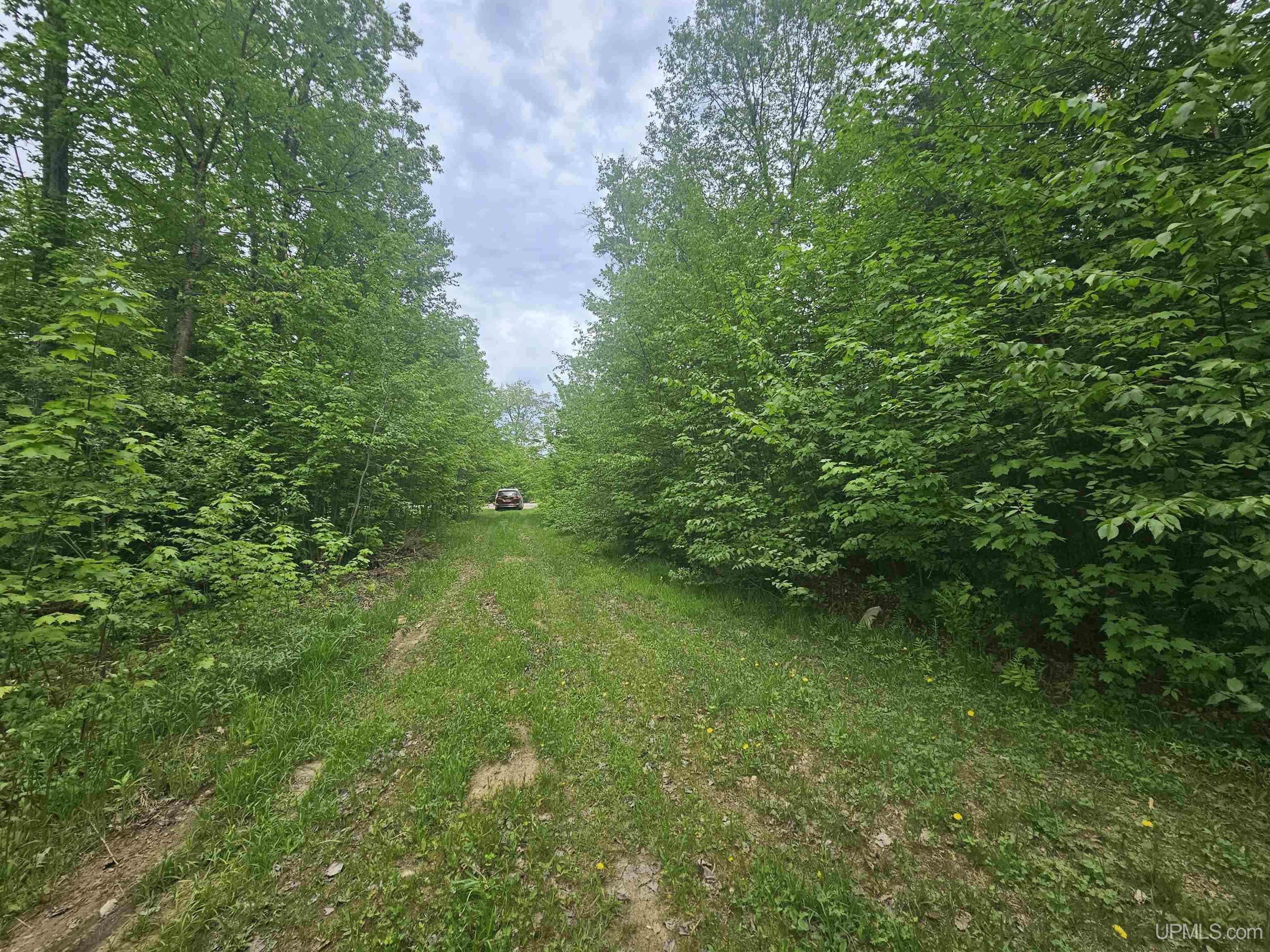 10098 Us 41 Highway Property Photo 6
